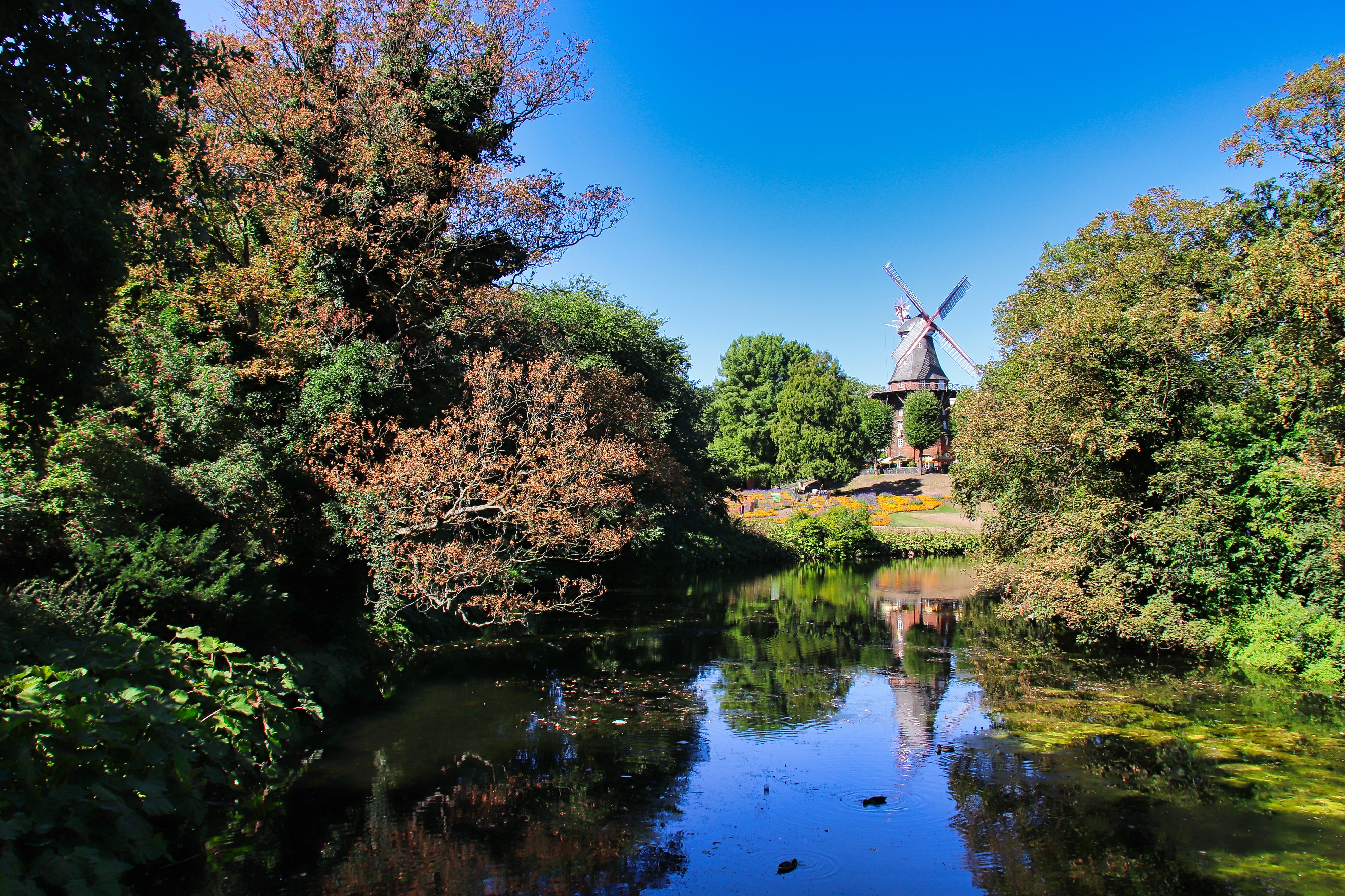 Bienvenue au Moulin !