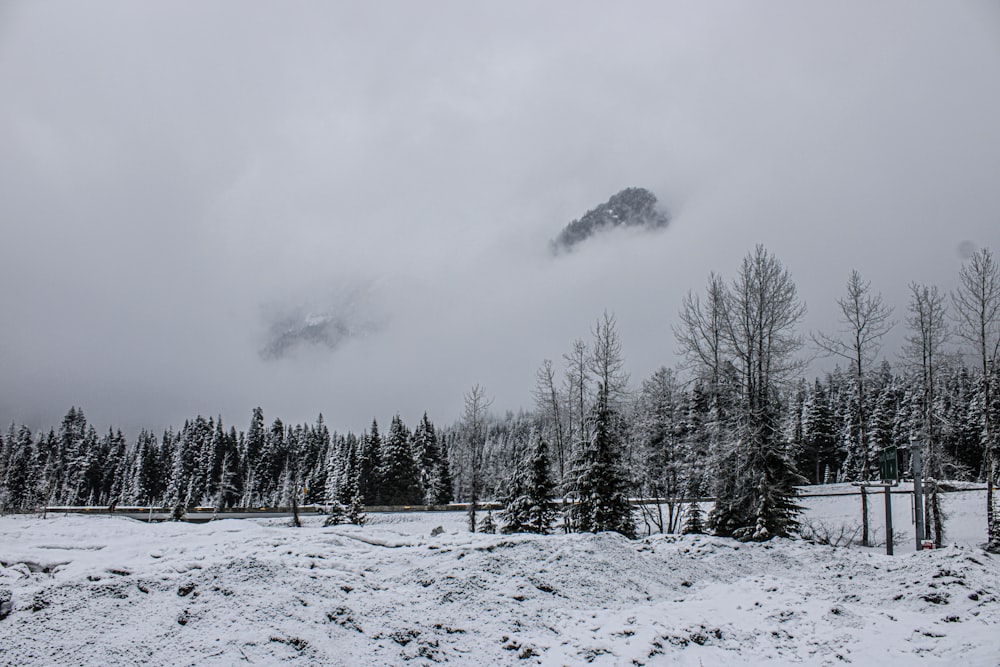 a snow covered field with trees and a mountain in the background