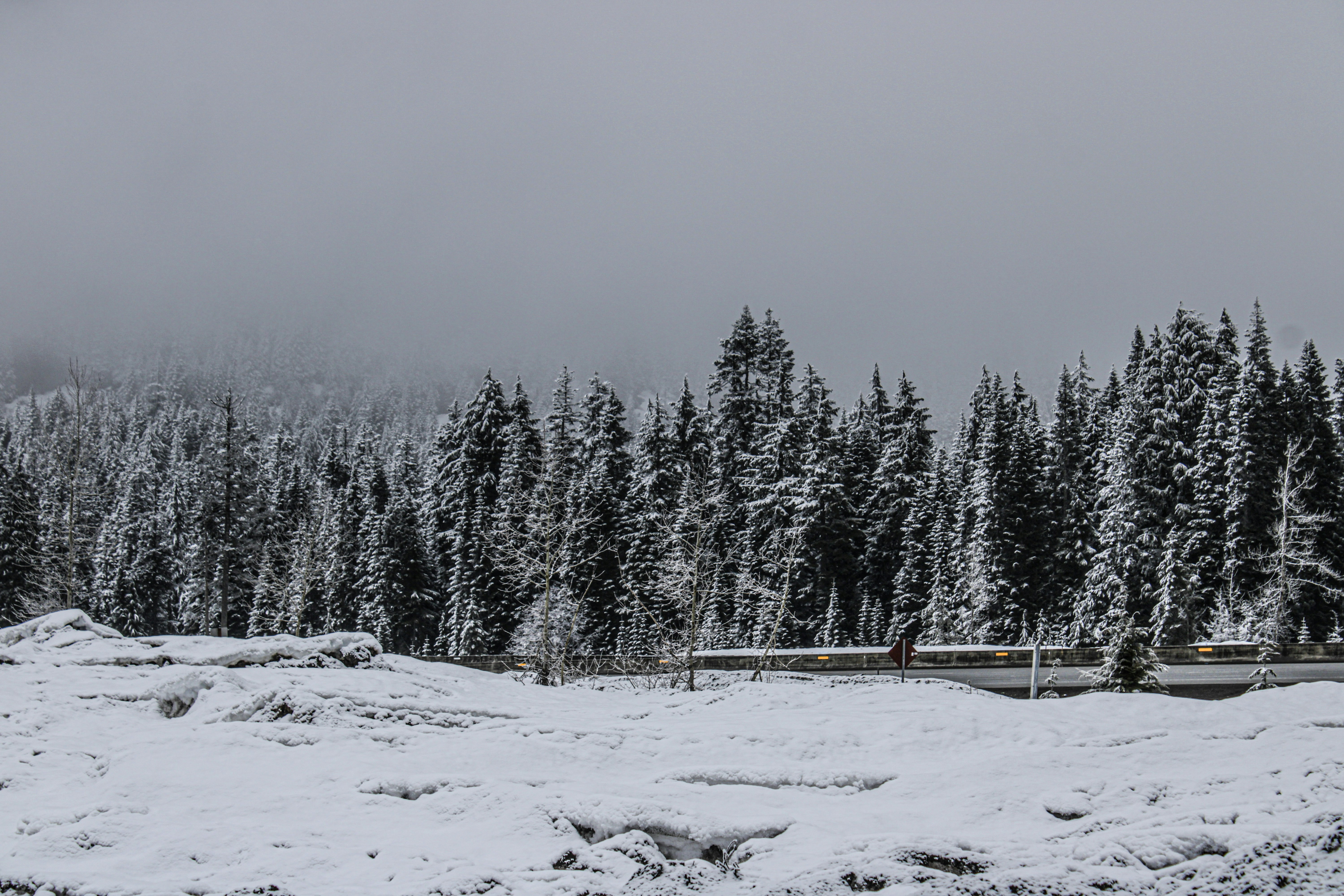 Photo by prphotography262