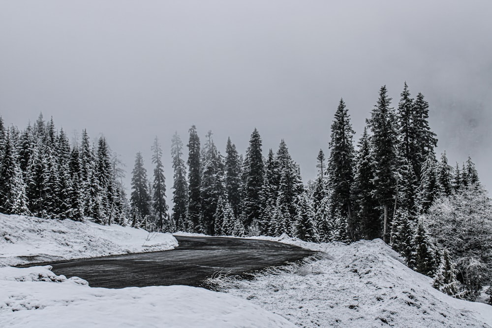 a road surrounded by snow covered trees on a cloudy day