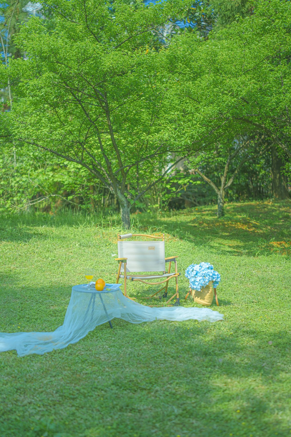 a chair and a blanket on the grass