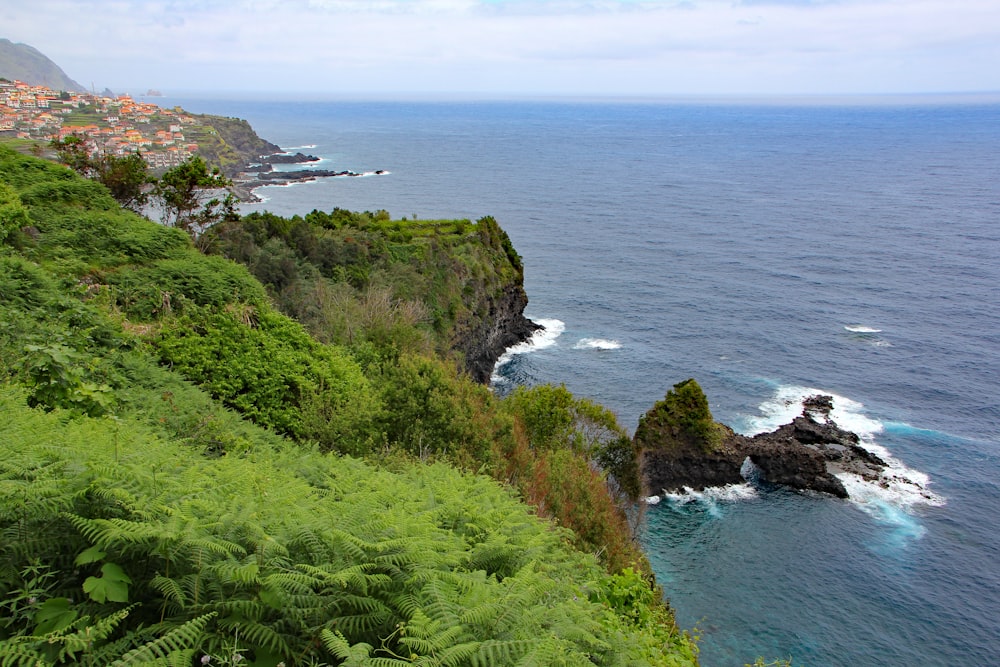 a lush green hillside next to the ocean