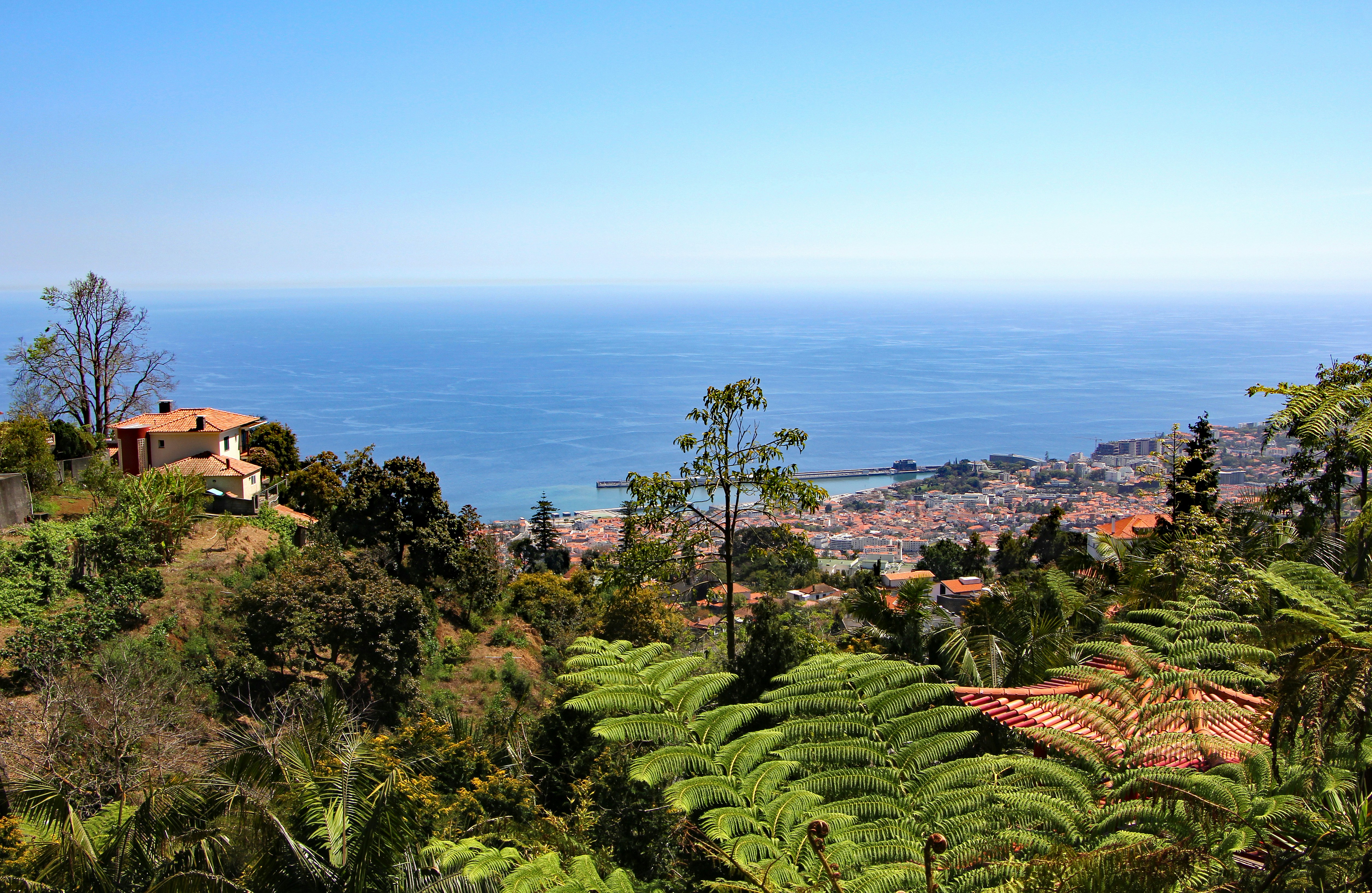a lush green hillside with a view of the ocean