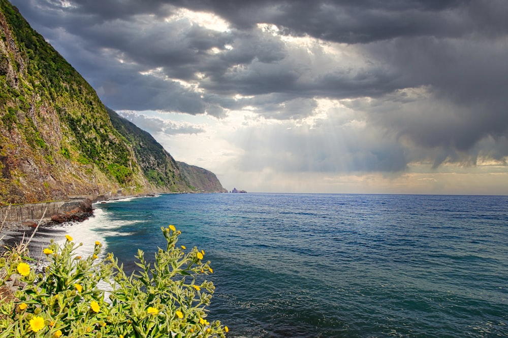 a large body of water surrounded by a lush green hillside