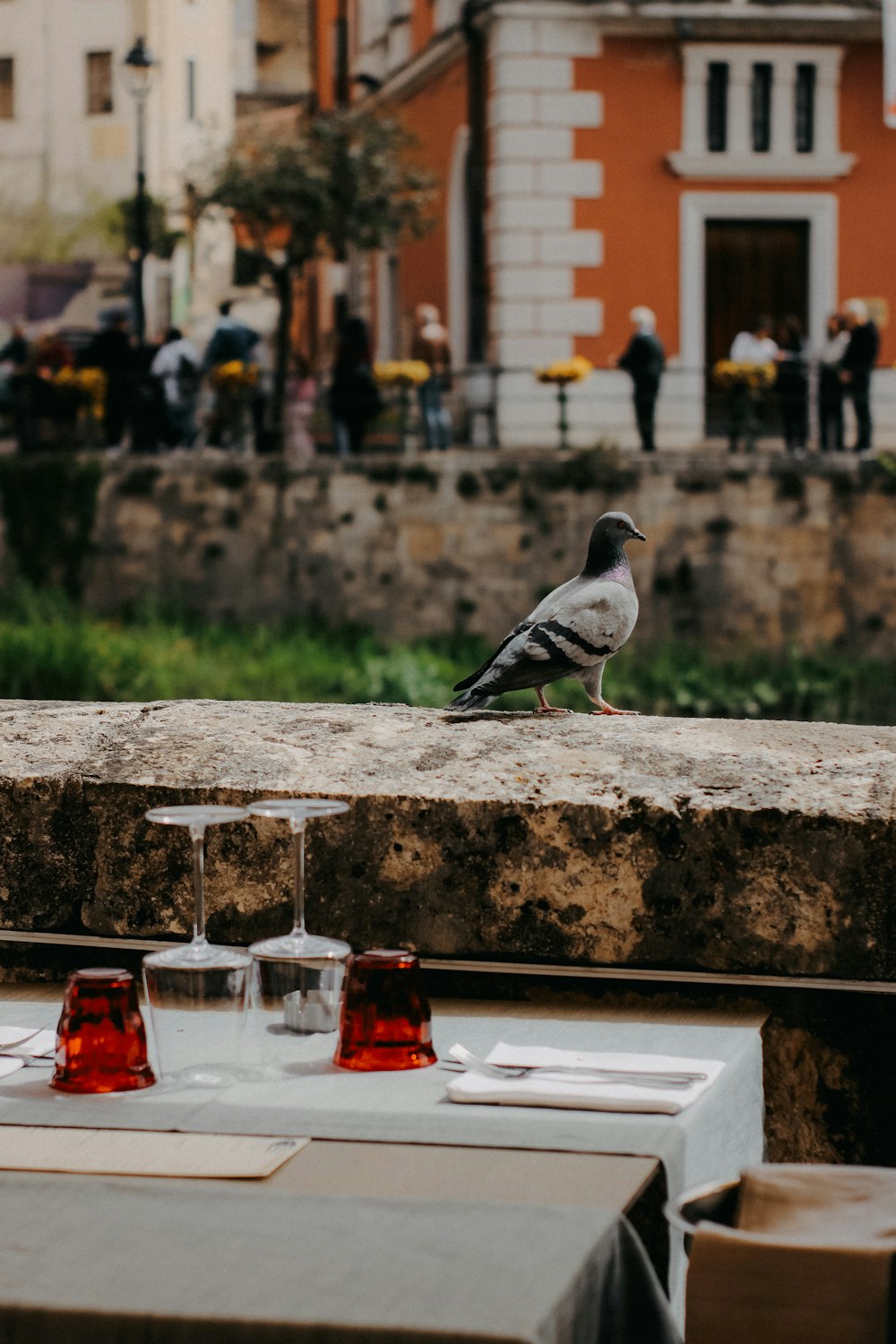 a bird sitting on the ledge of a restaurant