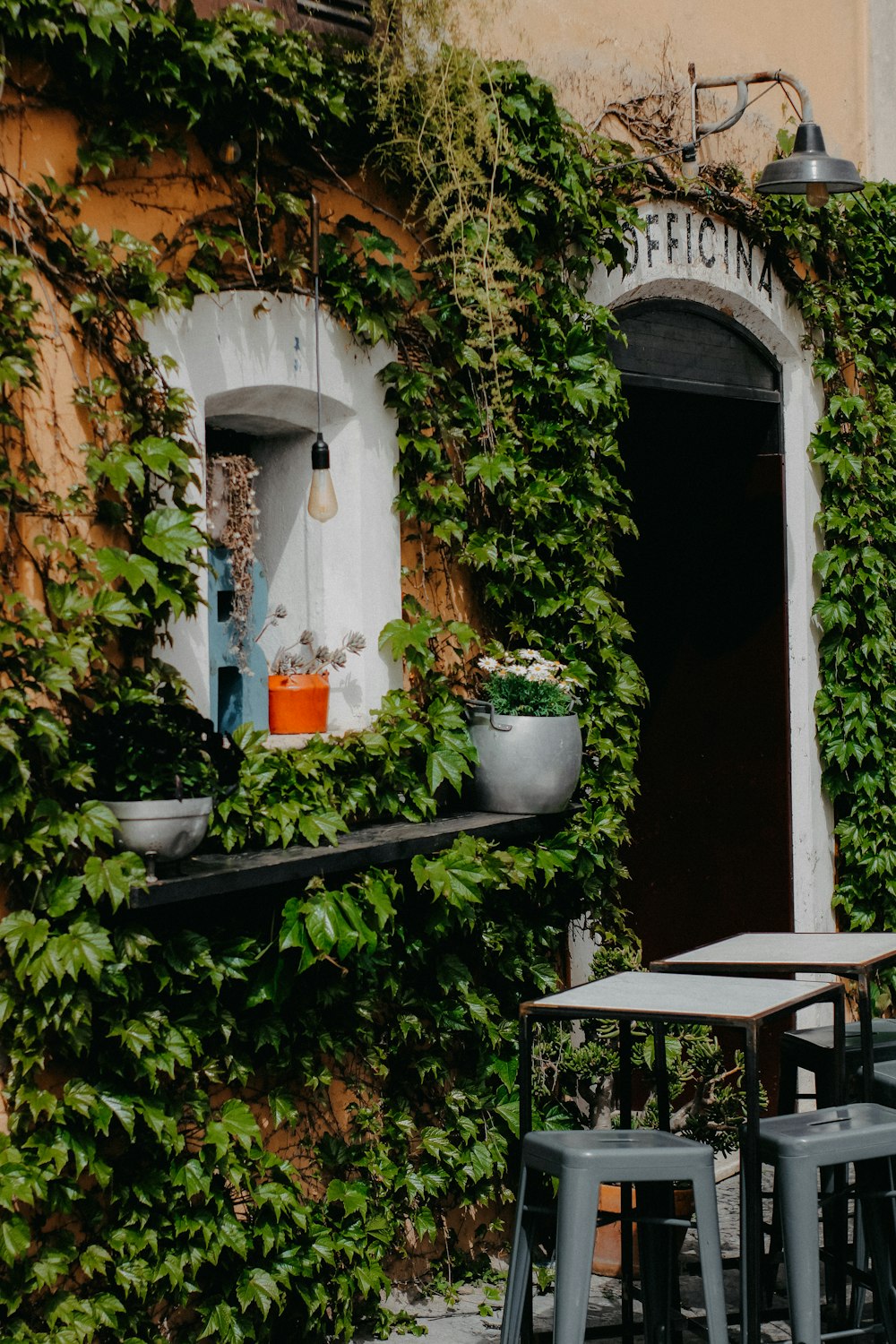 tables and chairs outside of a building covered in vines