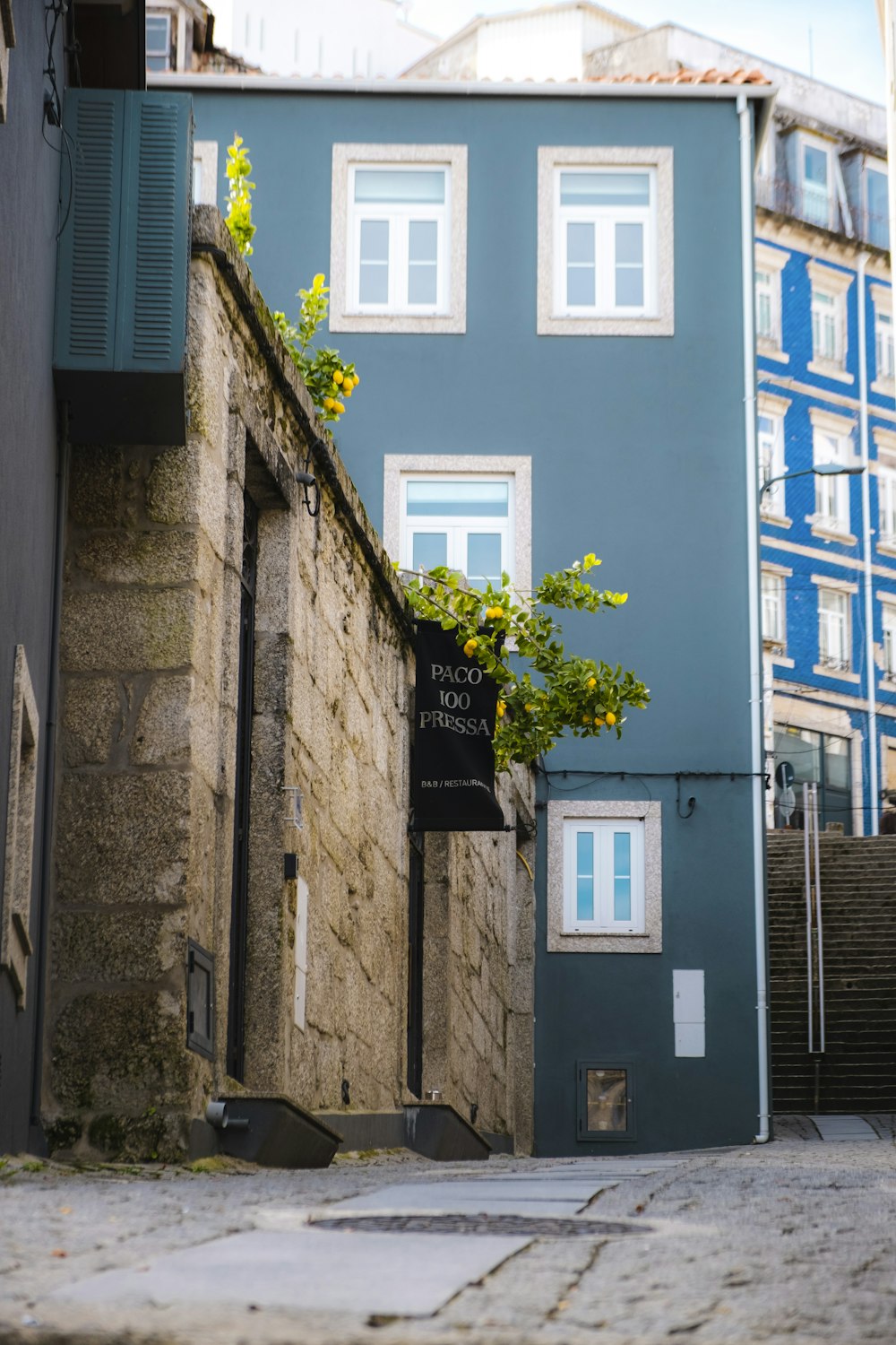 a blue building with a tree growing out of it