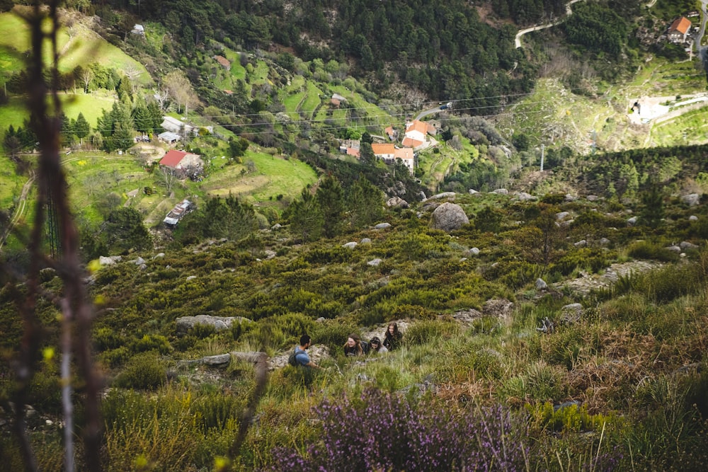 a group of people riding horses down a lush green hillside