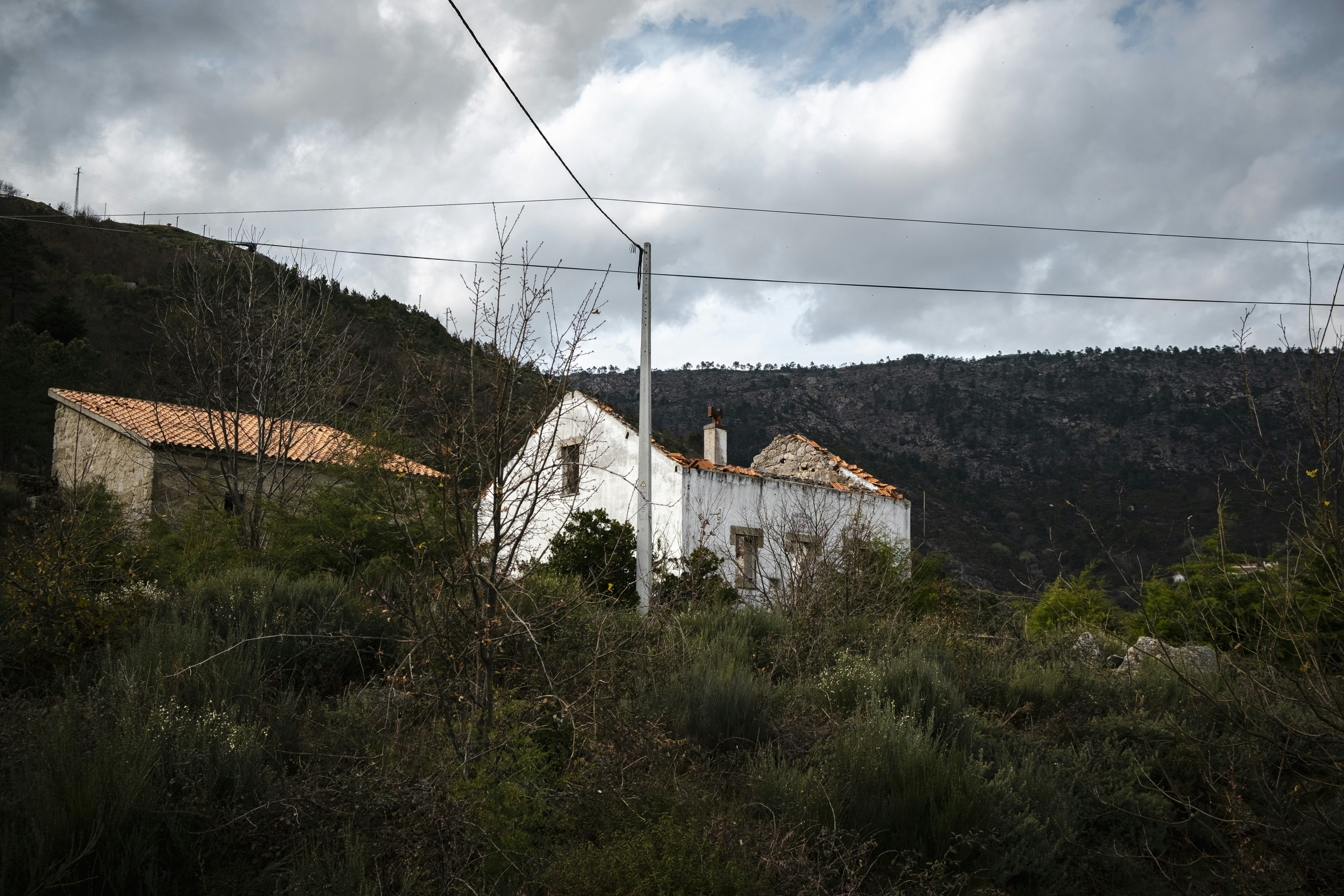 Photo by palivo_duracka