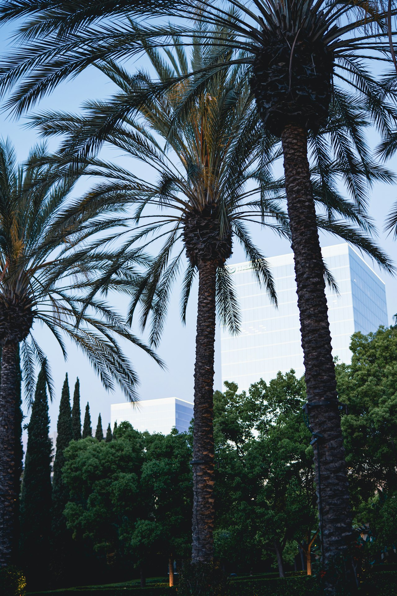 Costa Mesa