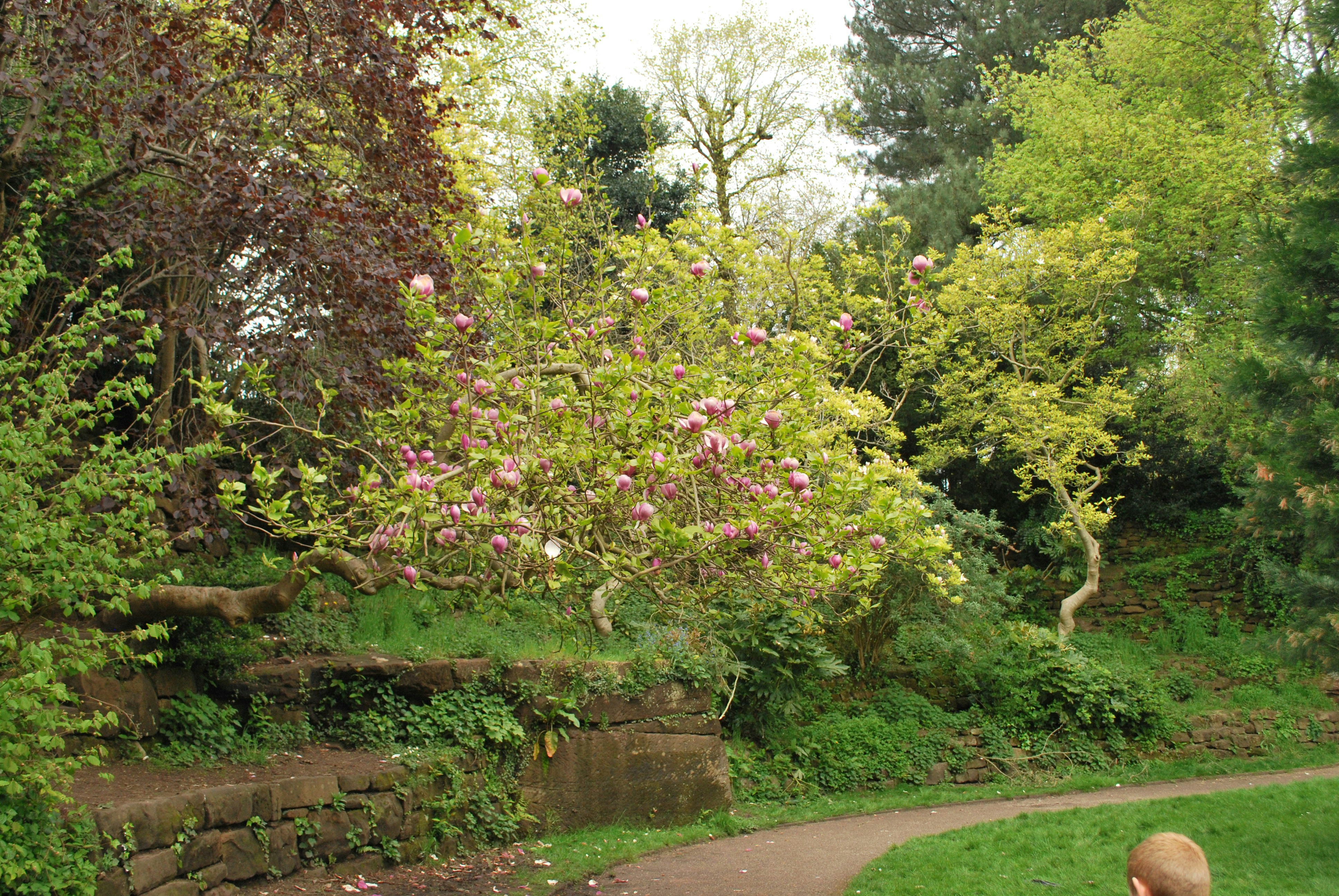 Gladstone park