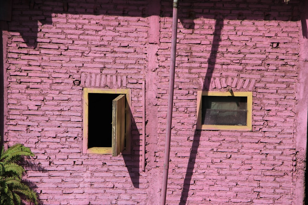 a pink brick building with two windows and a cat