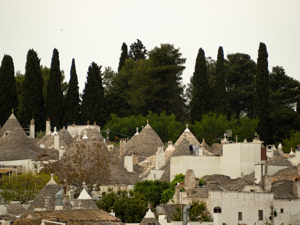 a view of a village from a distance