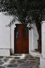 a door is open in front of a tree