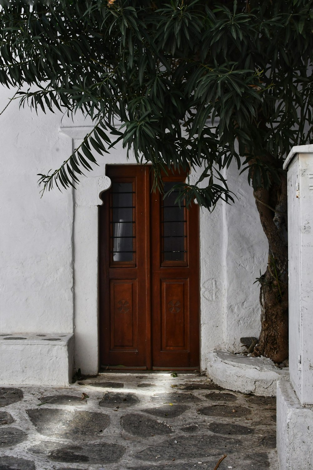 a door is open in front of a tree