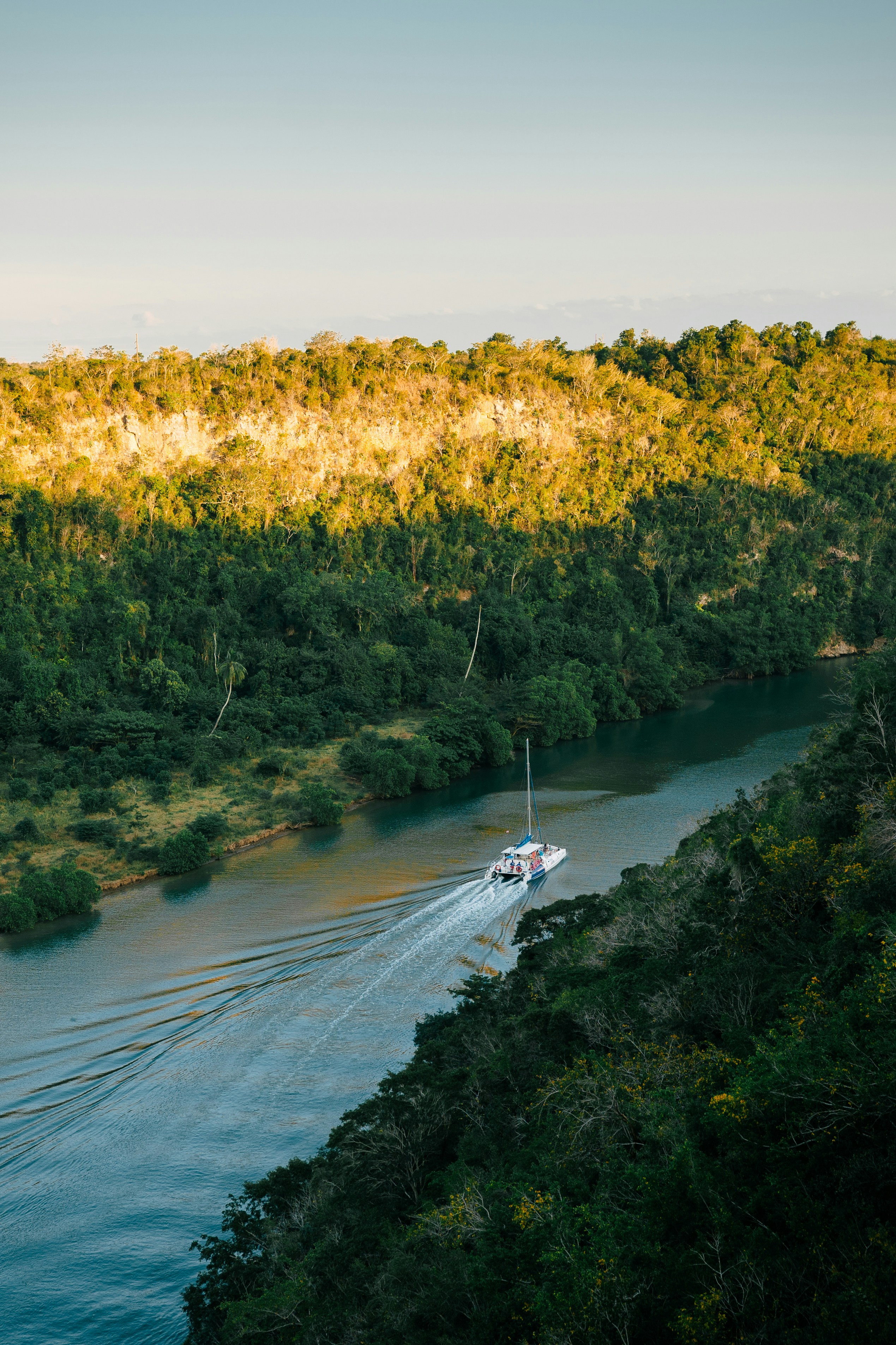a boat traveling down a river next to a lush green forest
