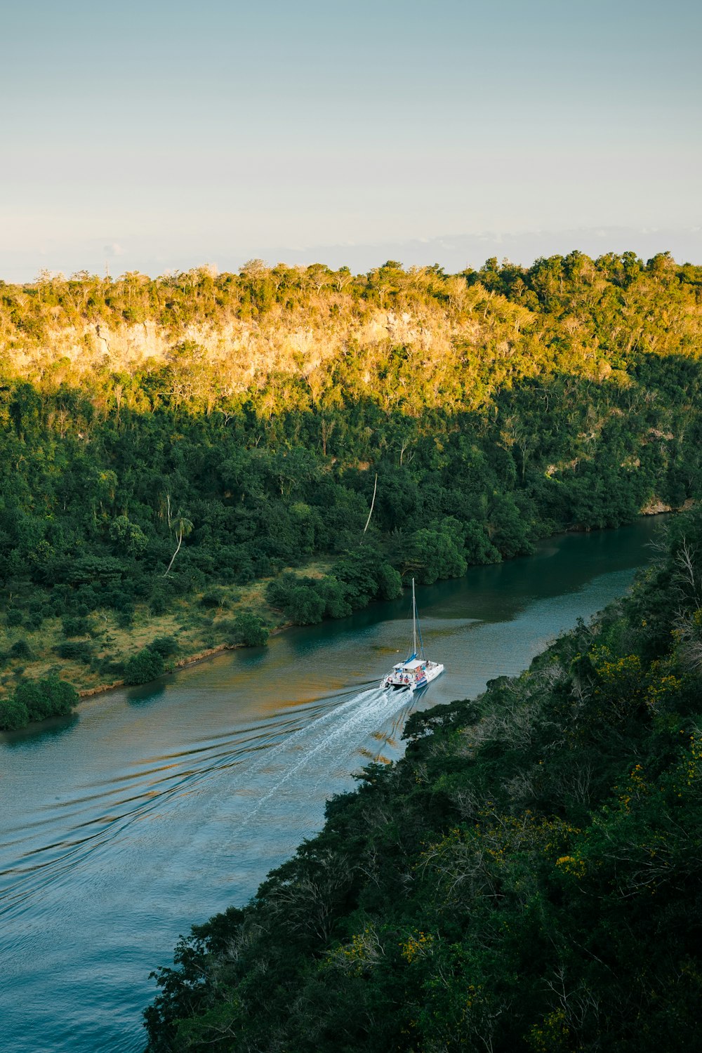 a boat traveling down a river next to a lush green forest