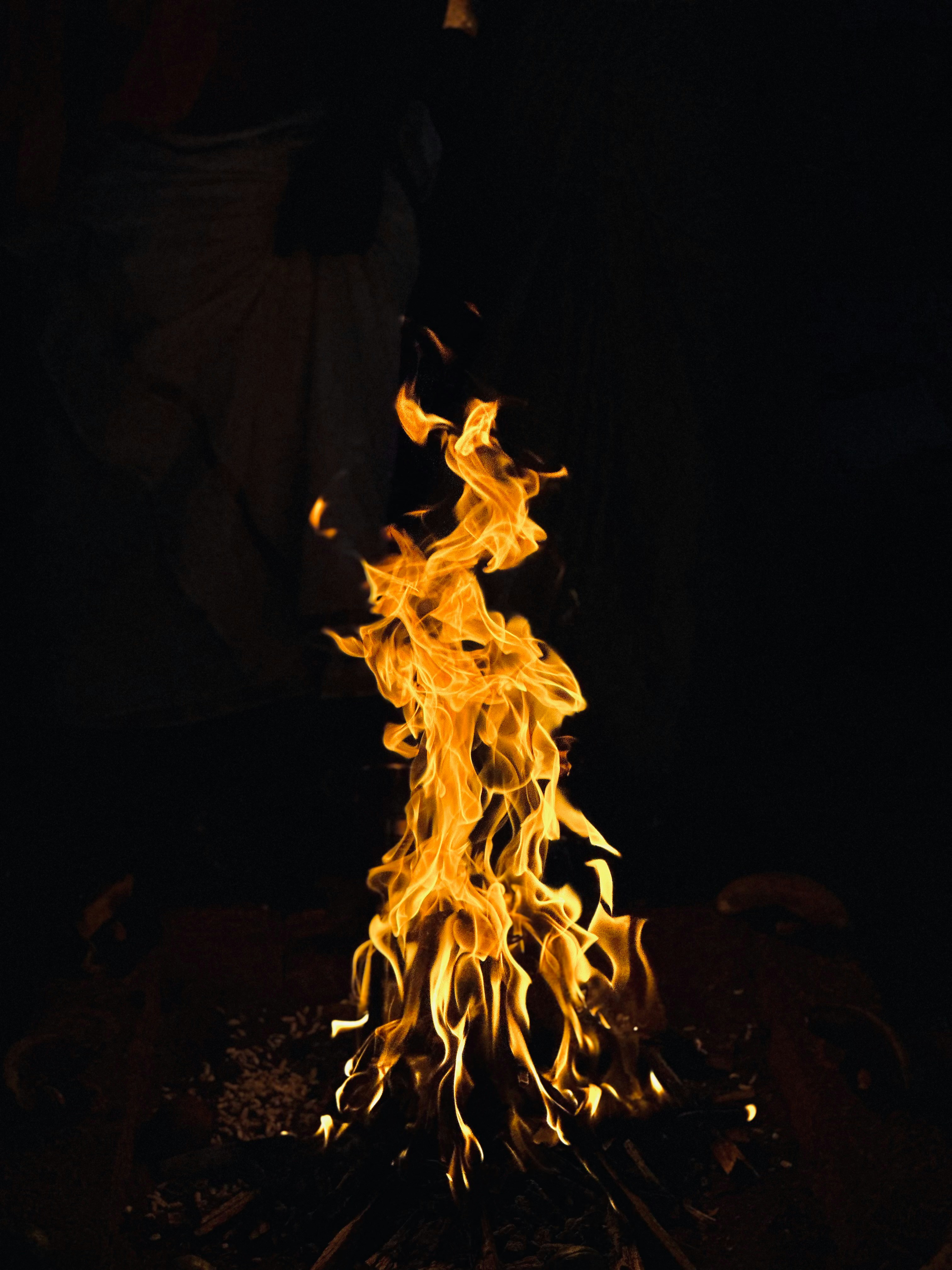 Photo by rishipavan2003