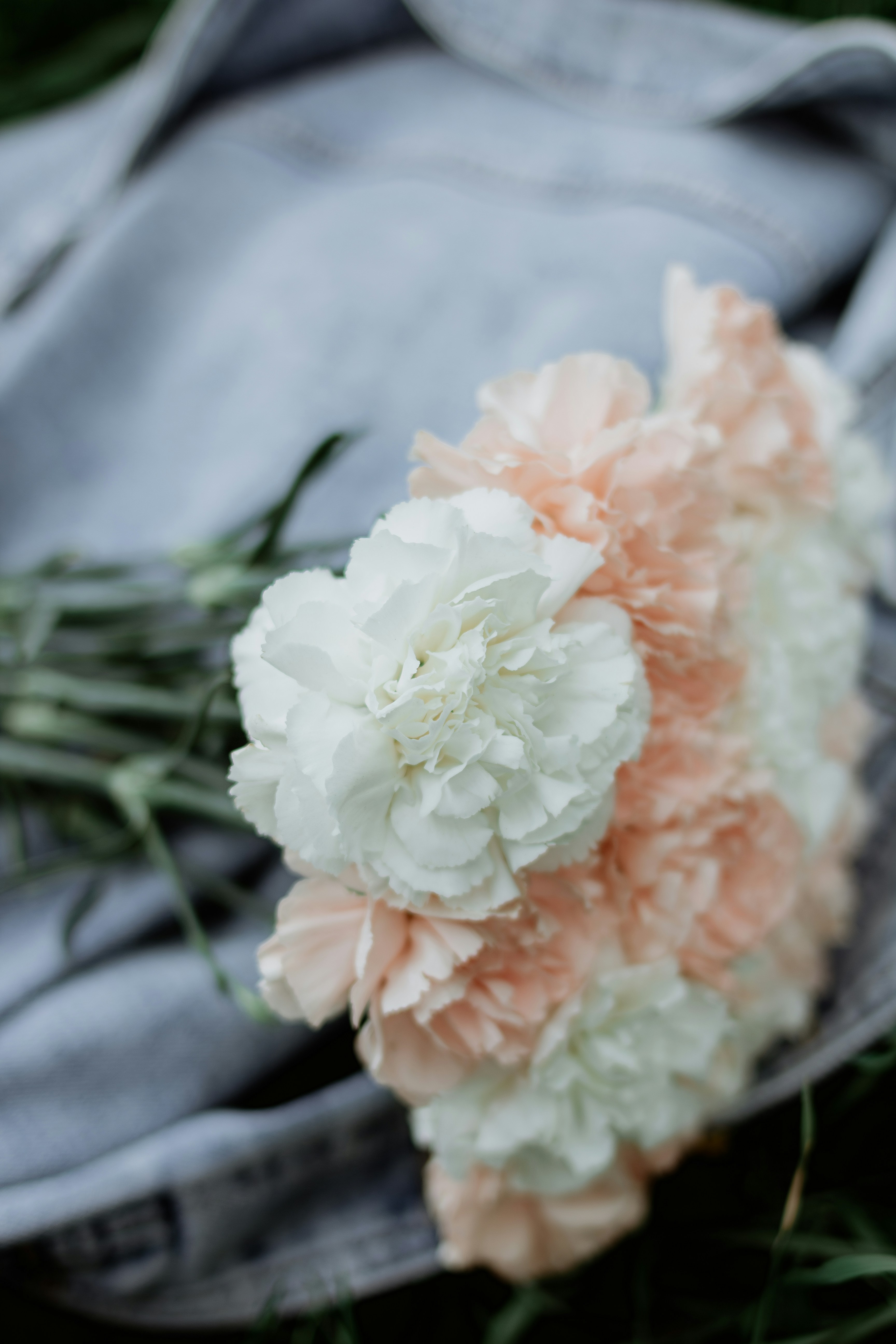 Photo by svitlana_rusak