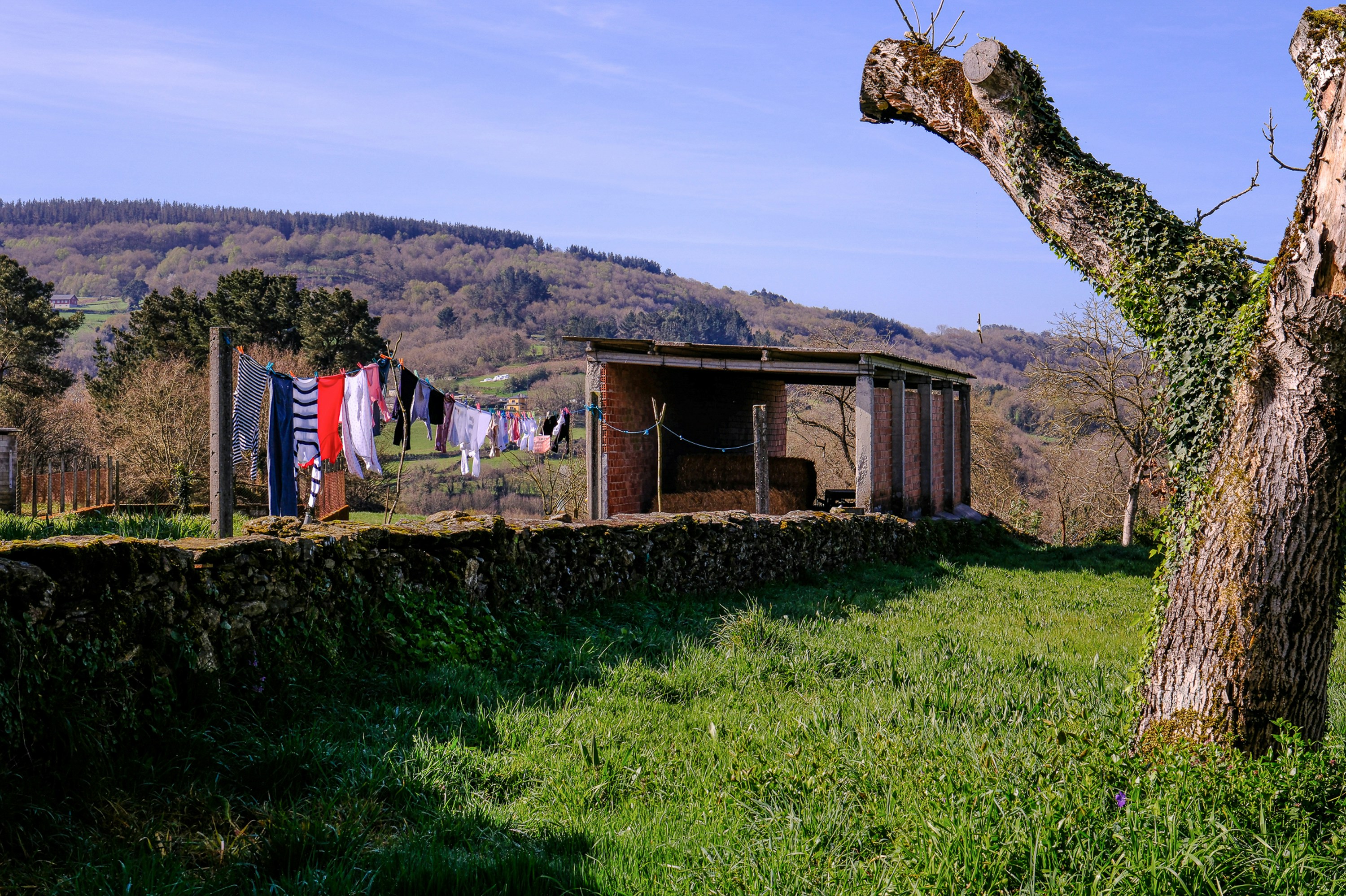 Photo by cestmoisheedy