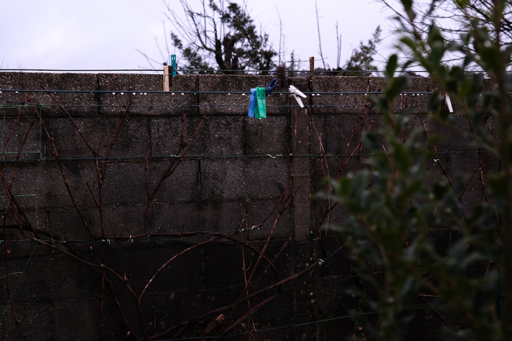 a concrete wall with a barbed wire fence