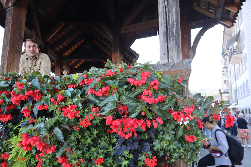 handsome man sitting beside flowers