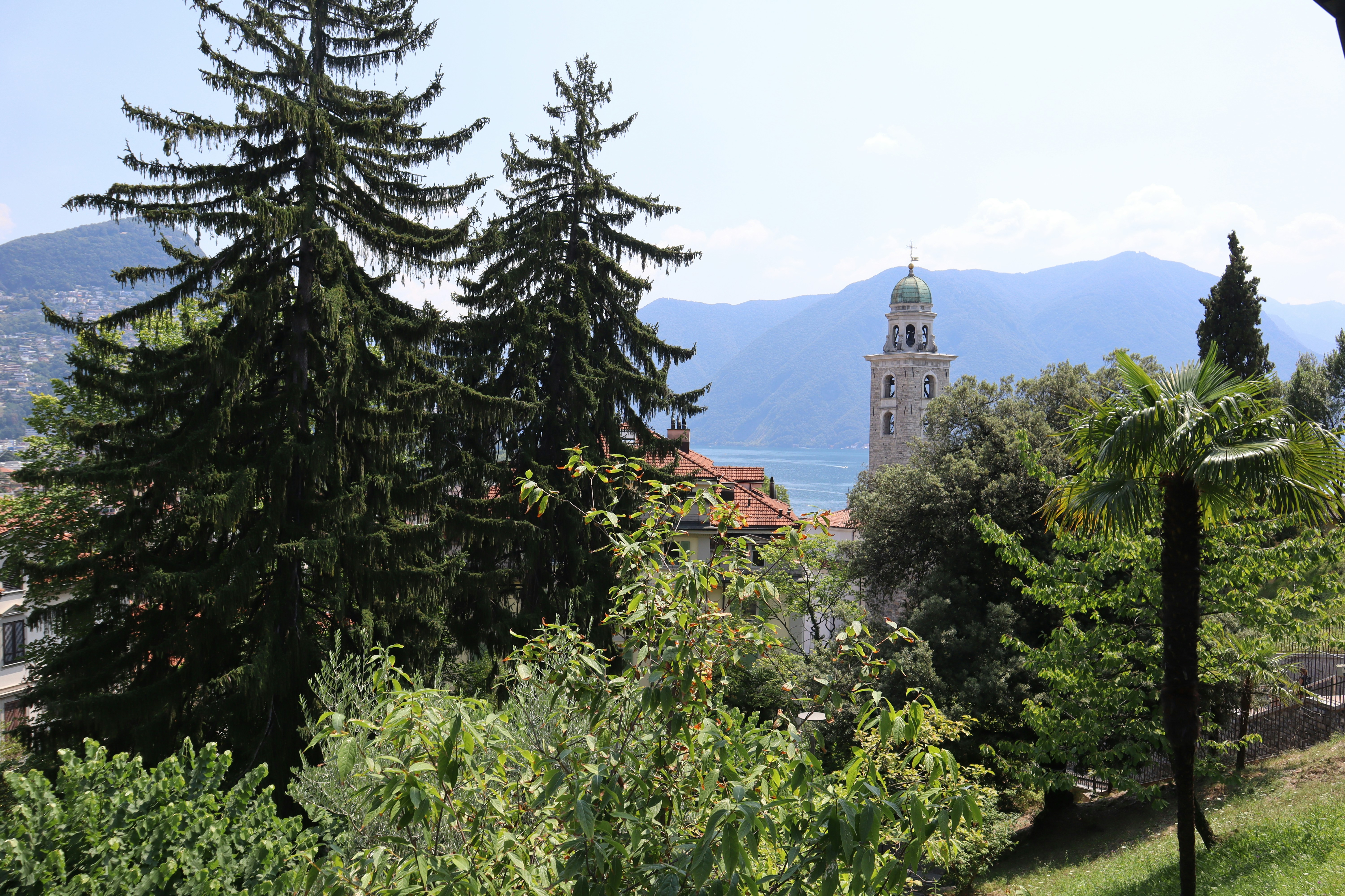 Photo by mihaela_claudia_p