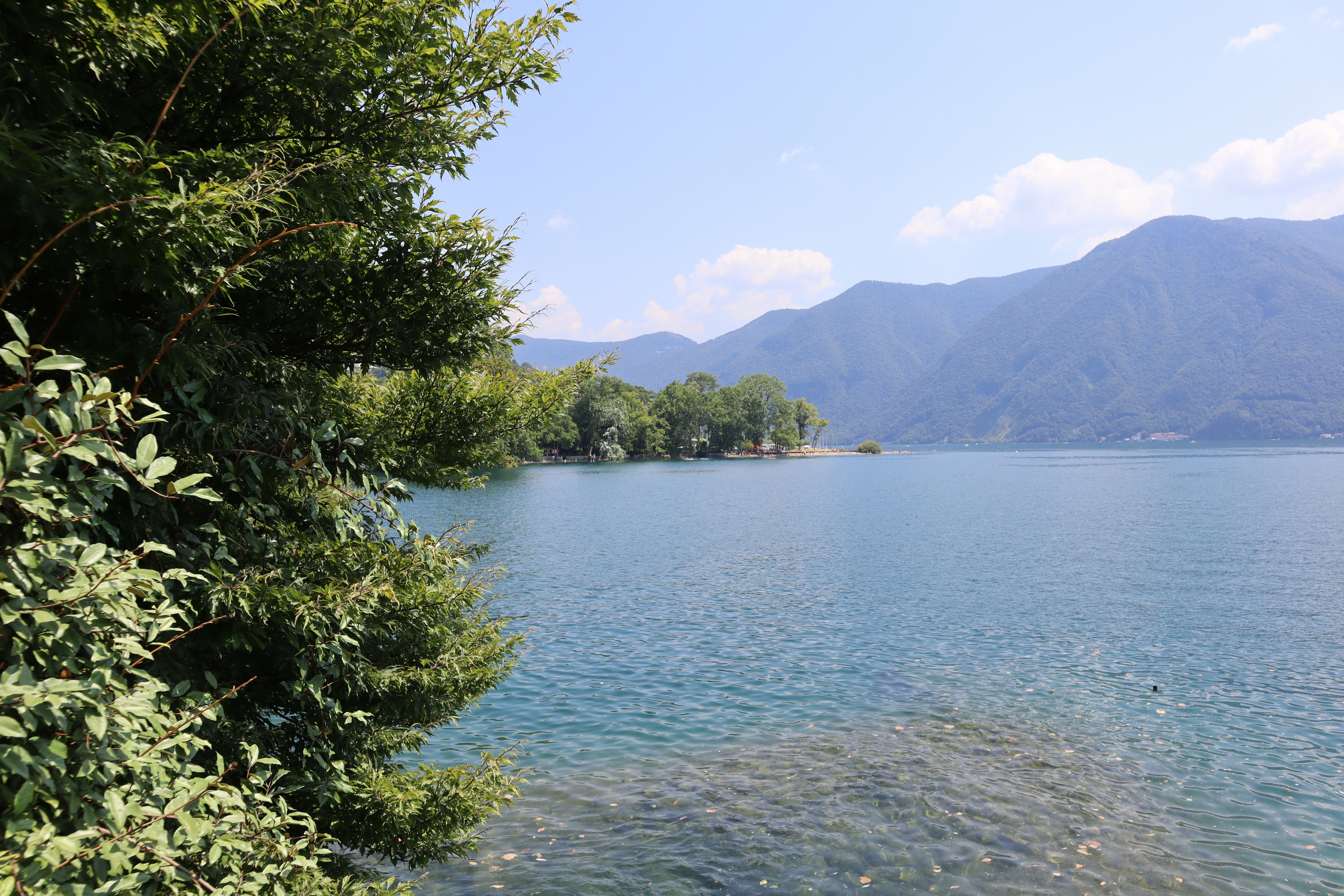 Photo by mihaela_claudia_p