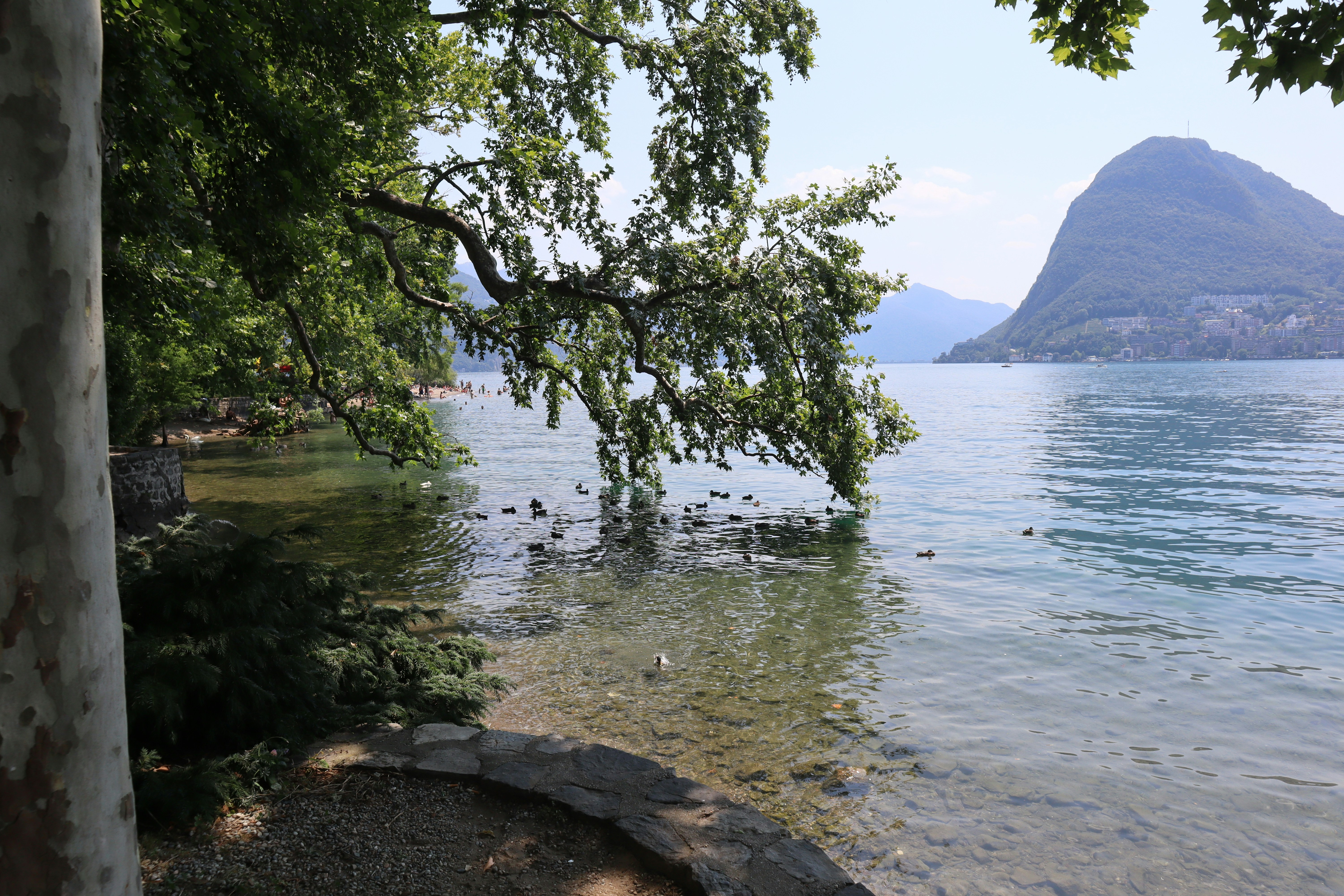 Photo by mihaela_claudia_p