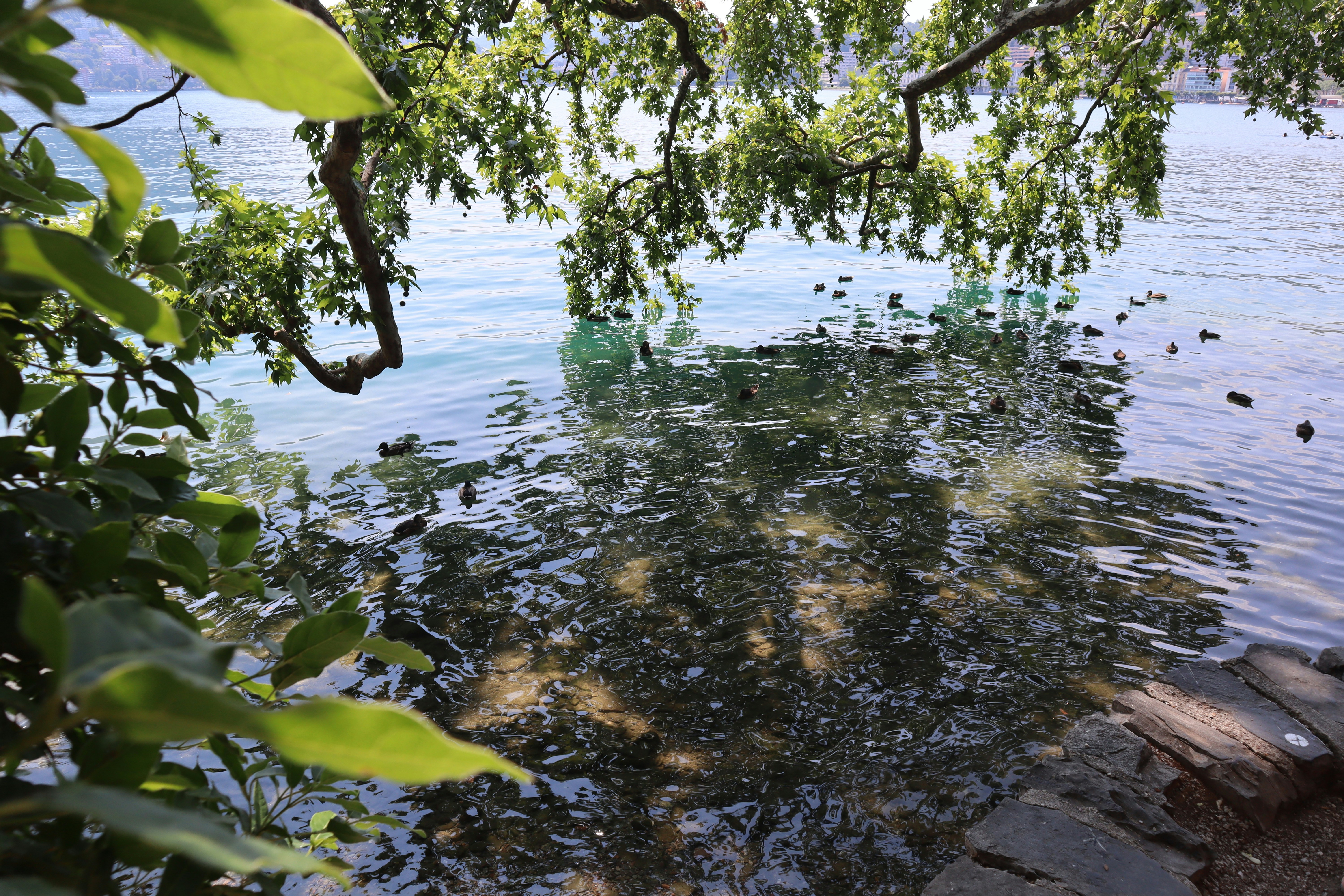 Photo by mihaela_claudia_p