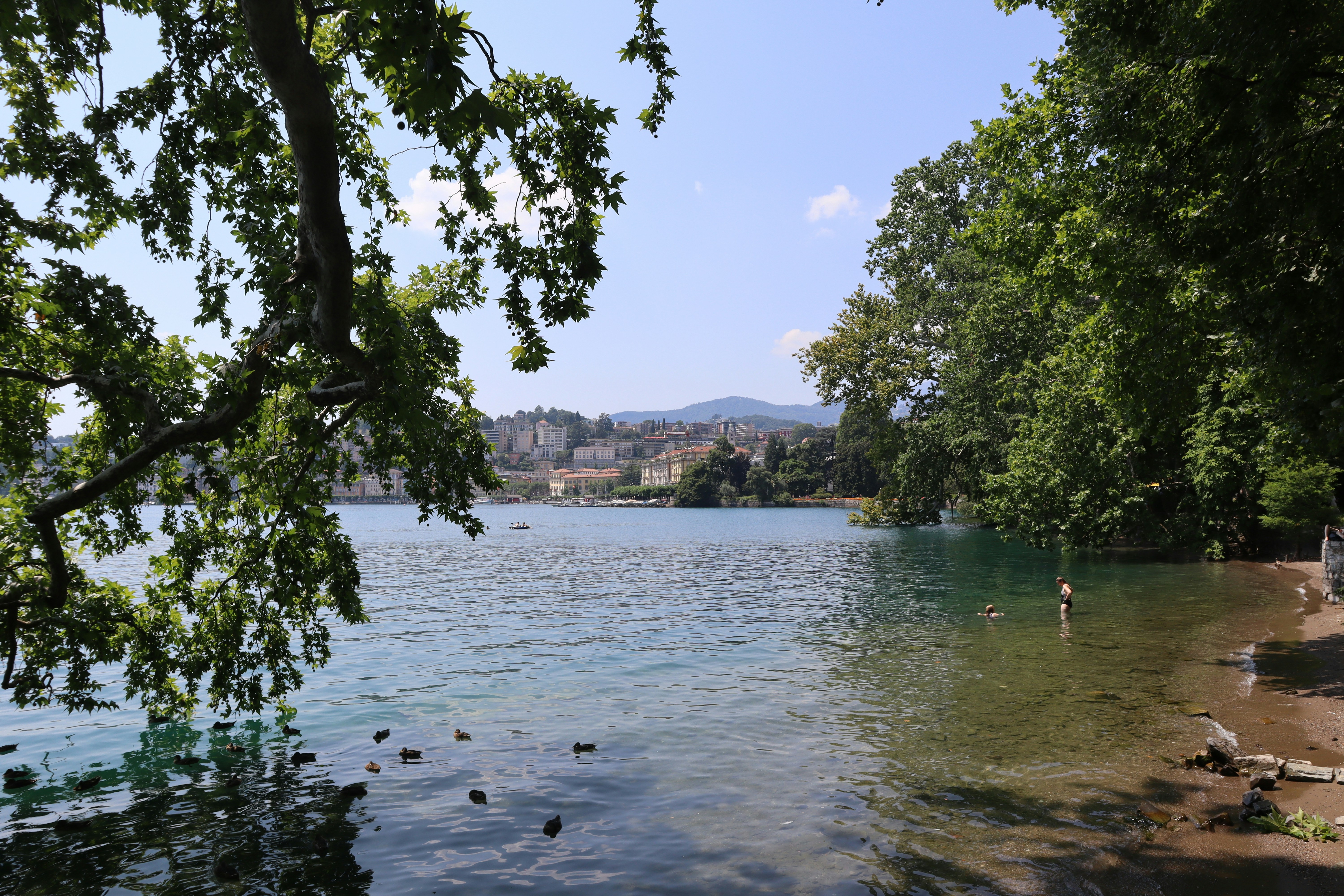 Photo by mihaela_claudia_p