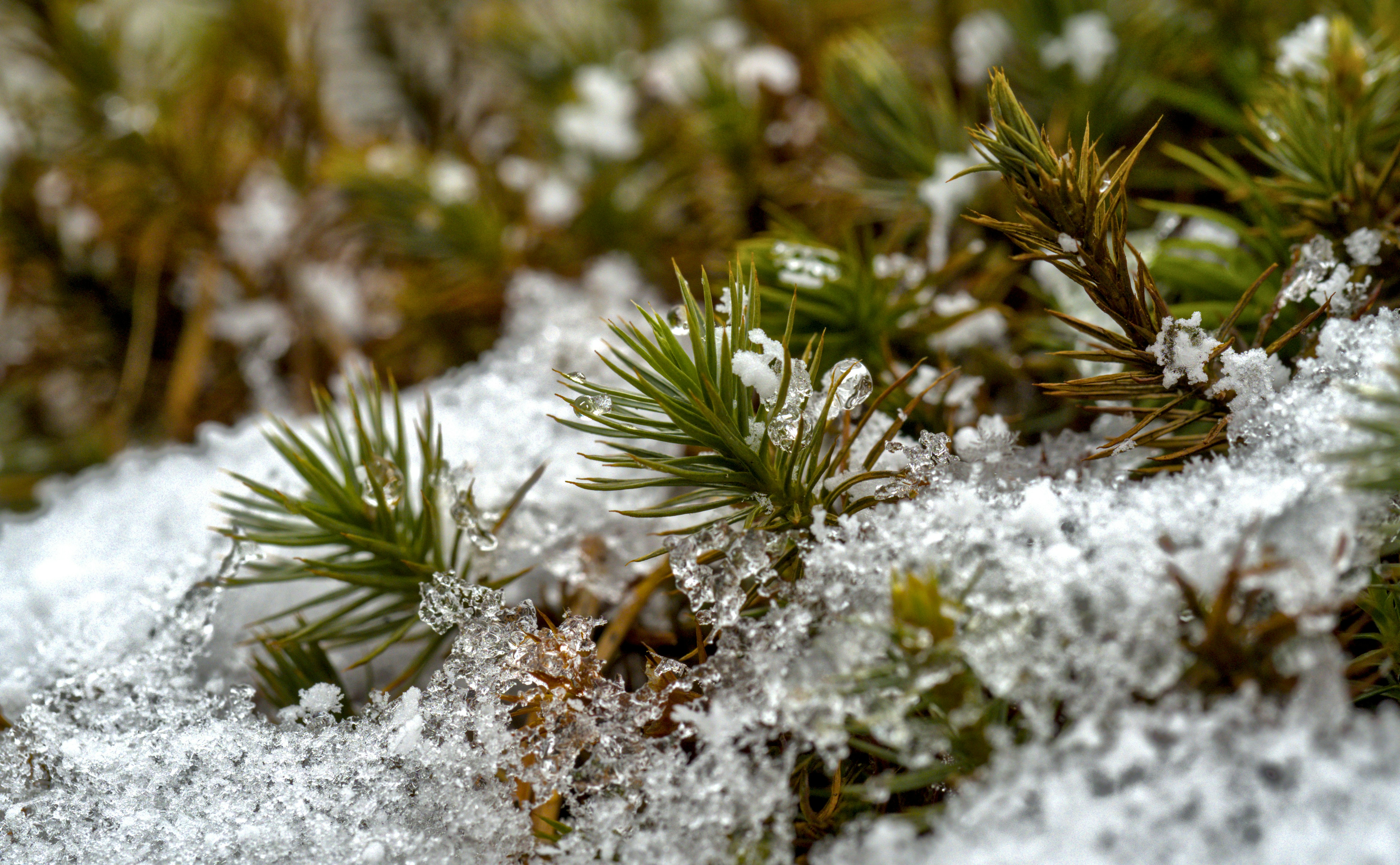 Photo by schneiderhenry