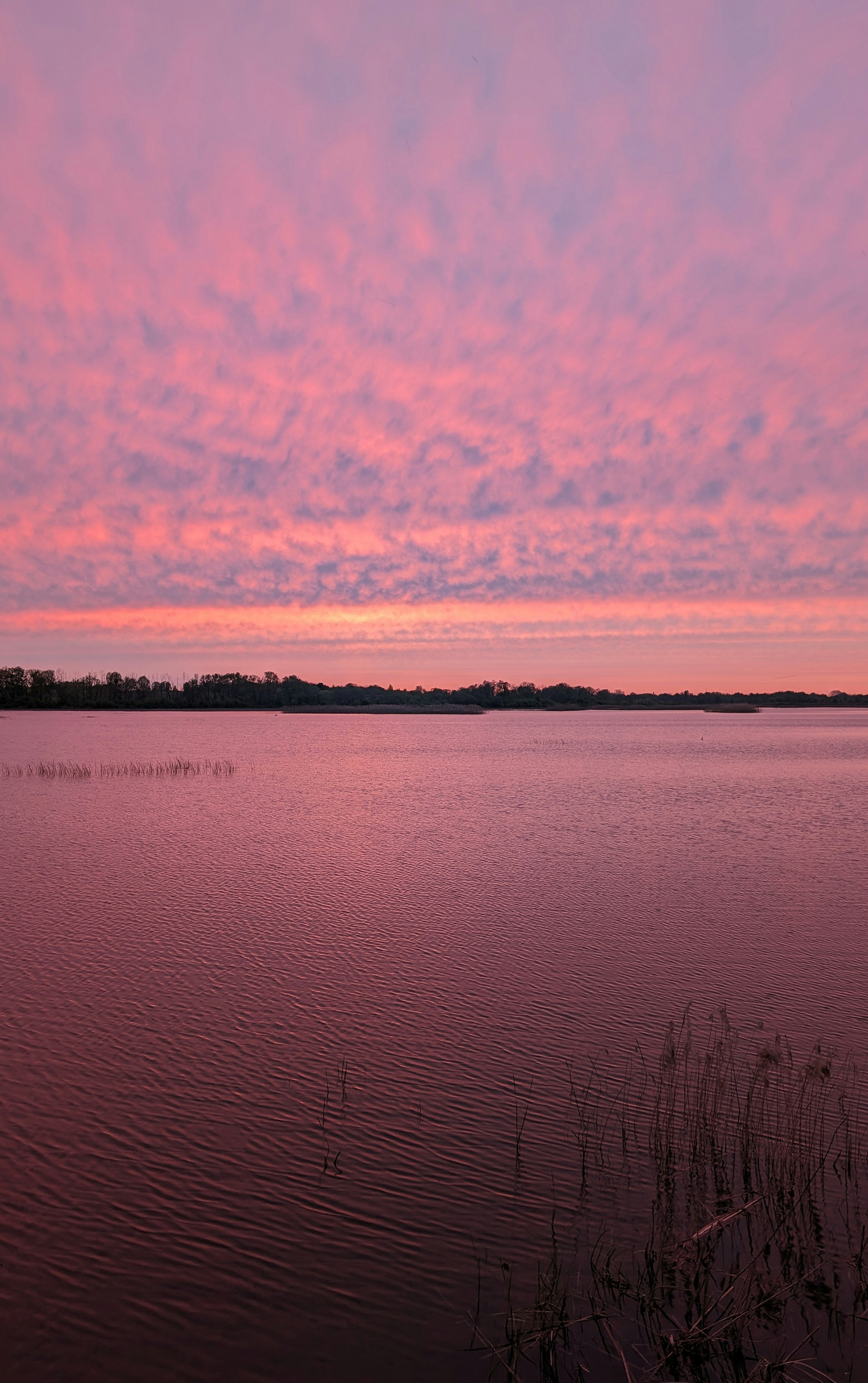 Photo by vitaliy_naumenko