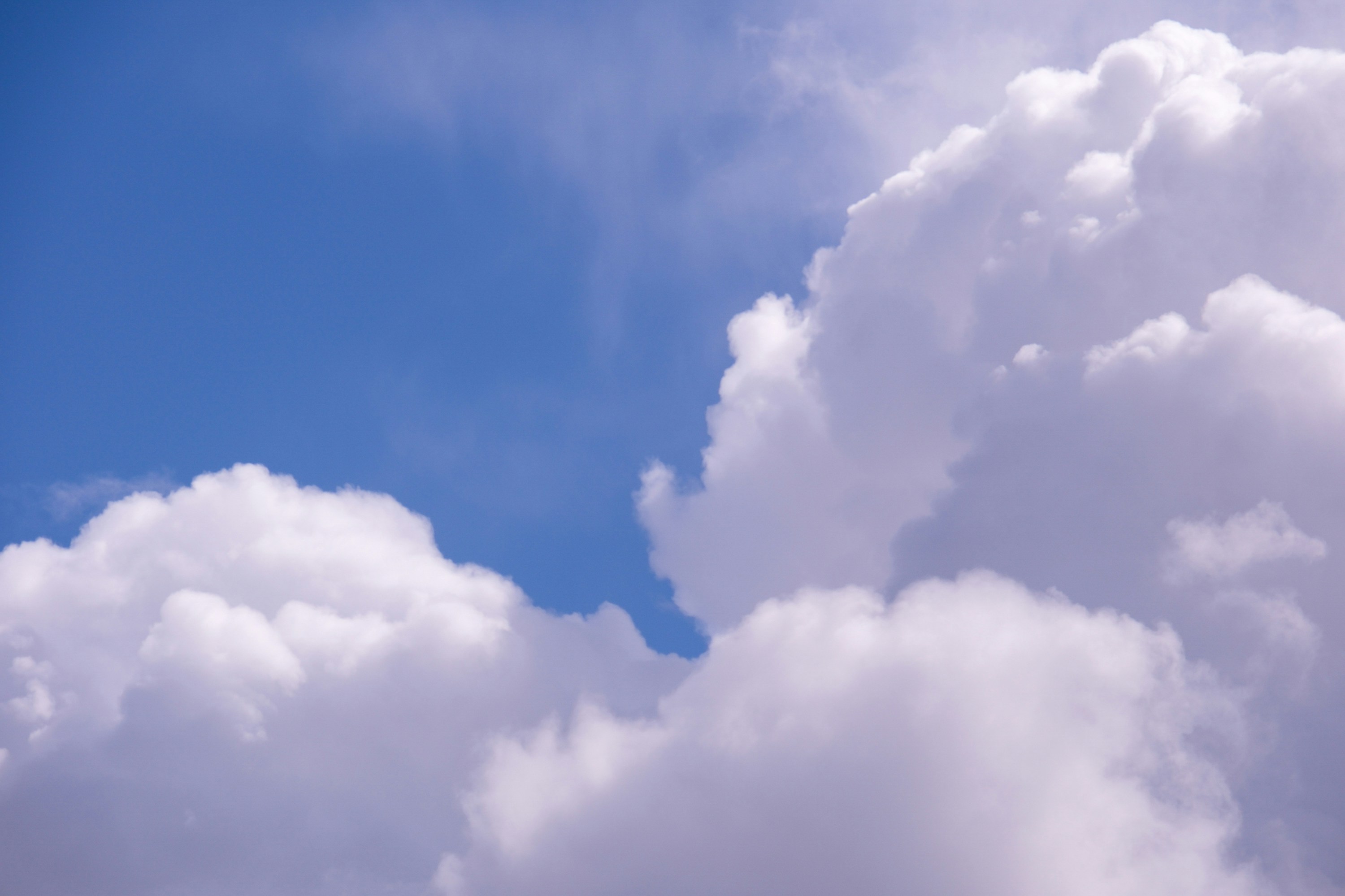 Photo by cestmoisheedy