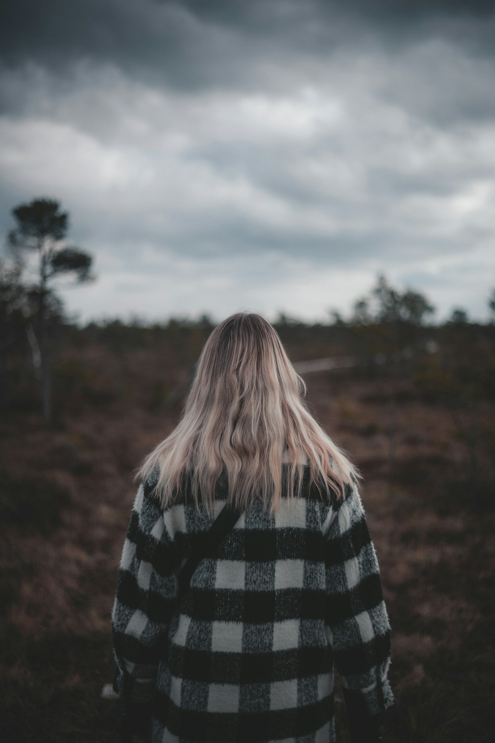 a person standing in a field under a cloudy sky