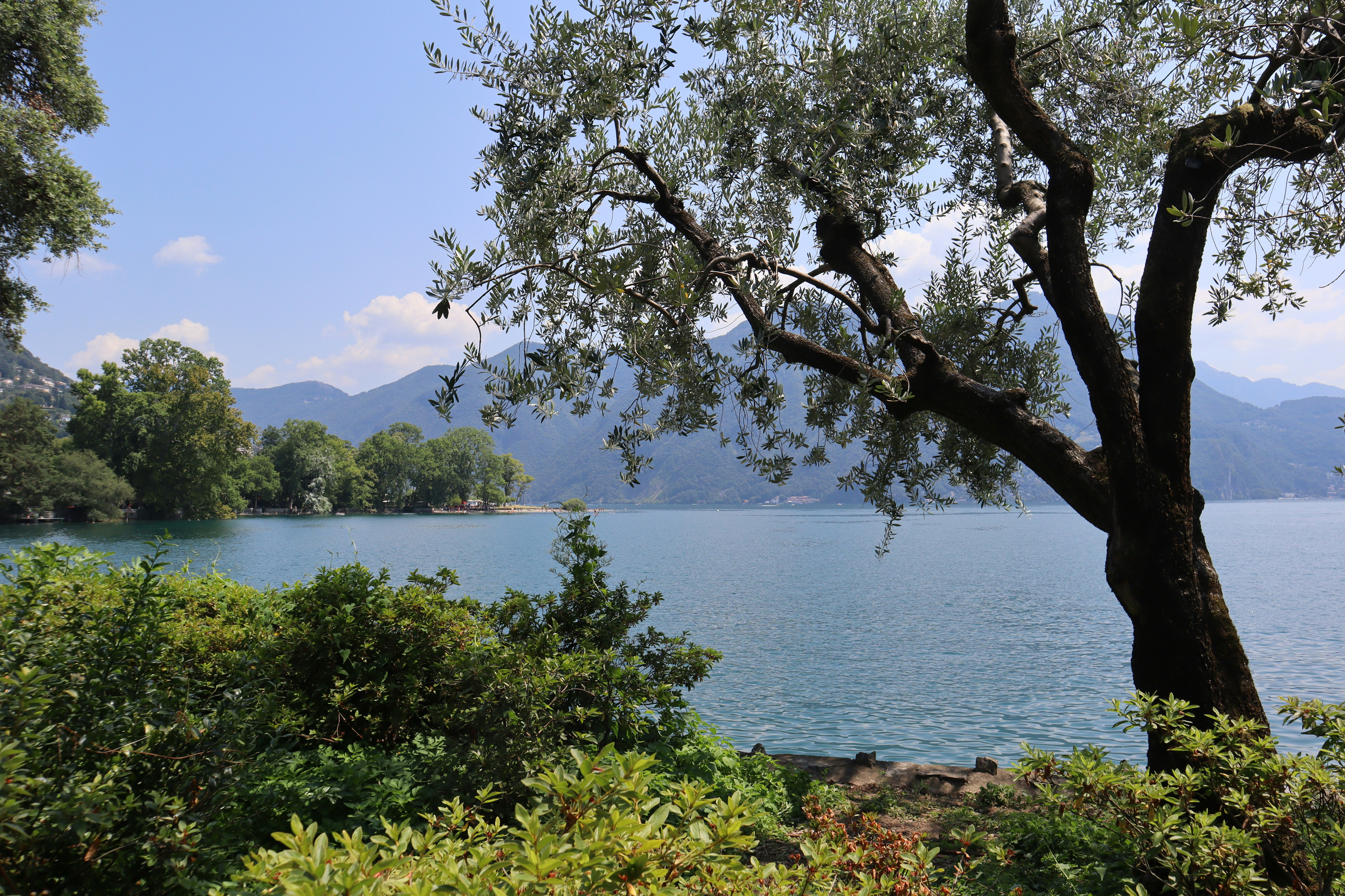 Photo by mihaela_claudia_p