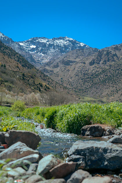 Valle verde en primavera