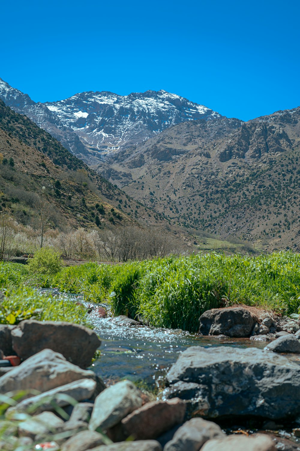 a stream running through a lush green valley