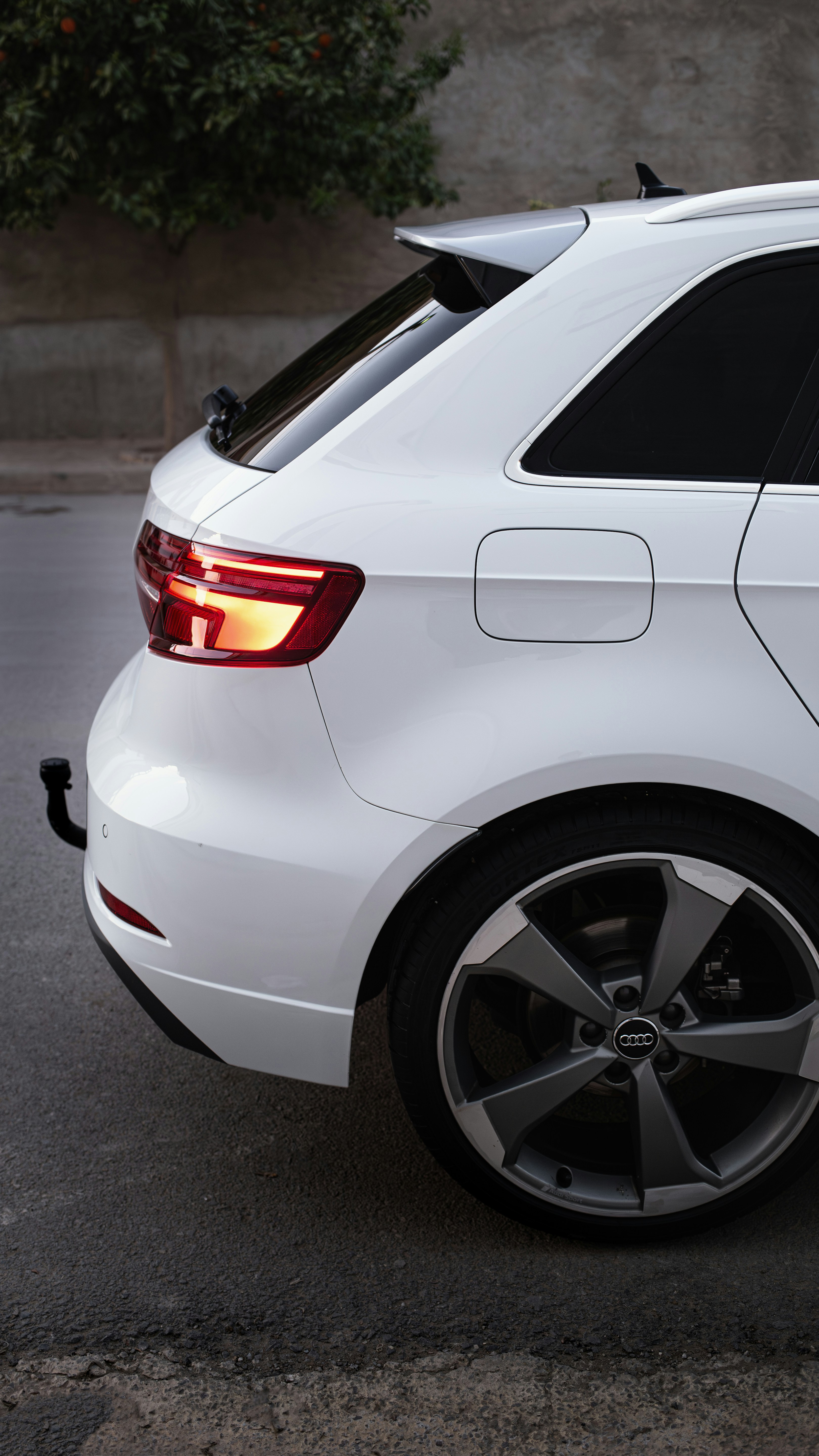 Photo by alpha_photographer