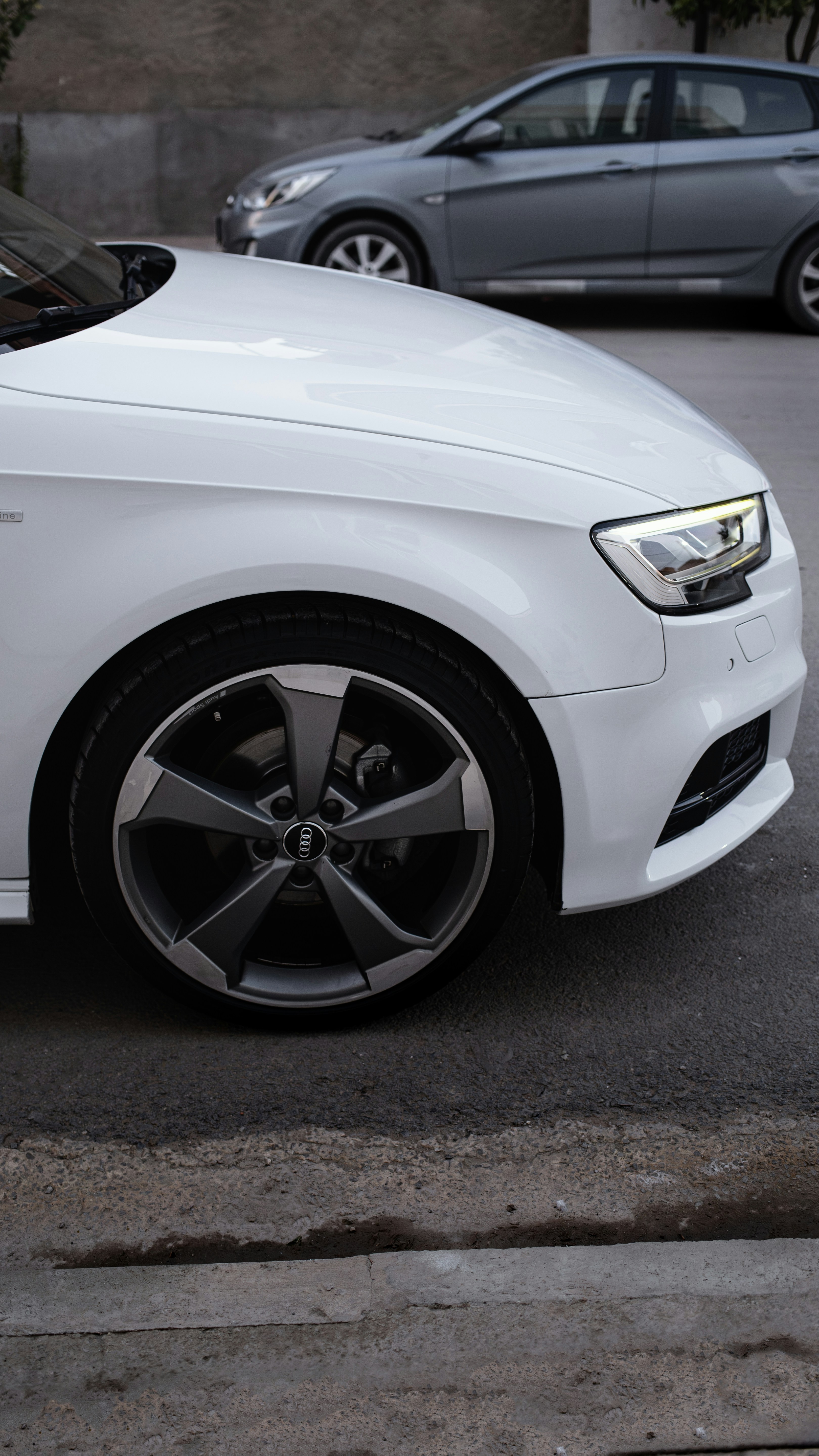 Photo by alpha_photographer