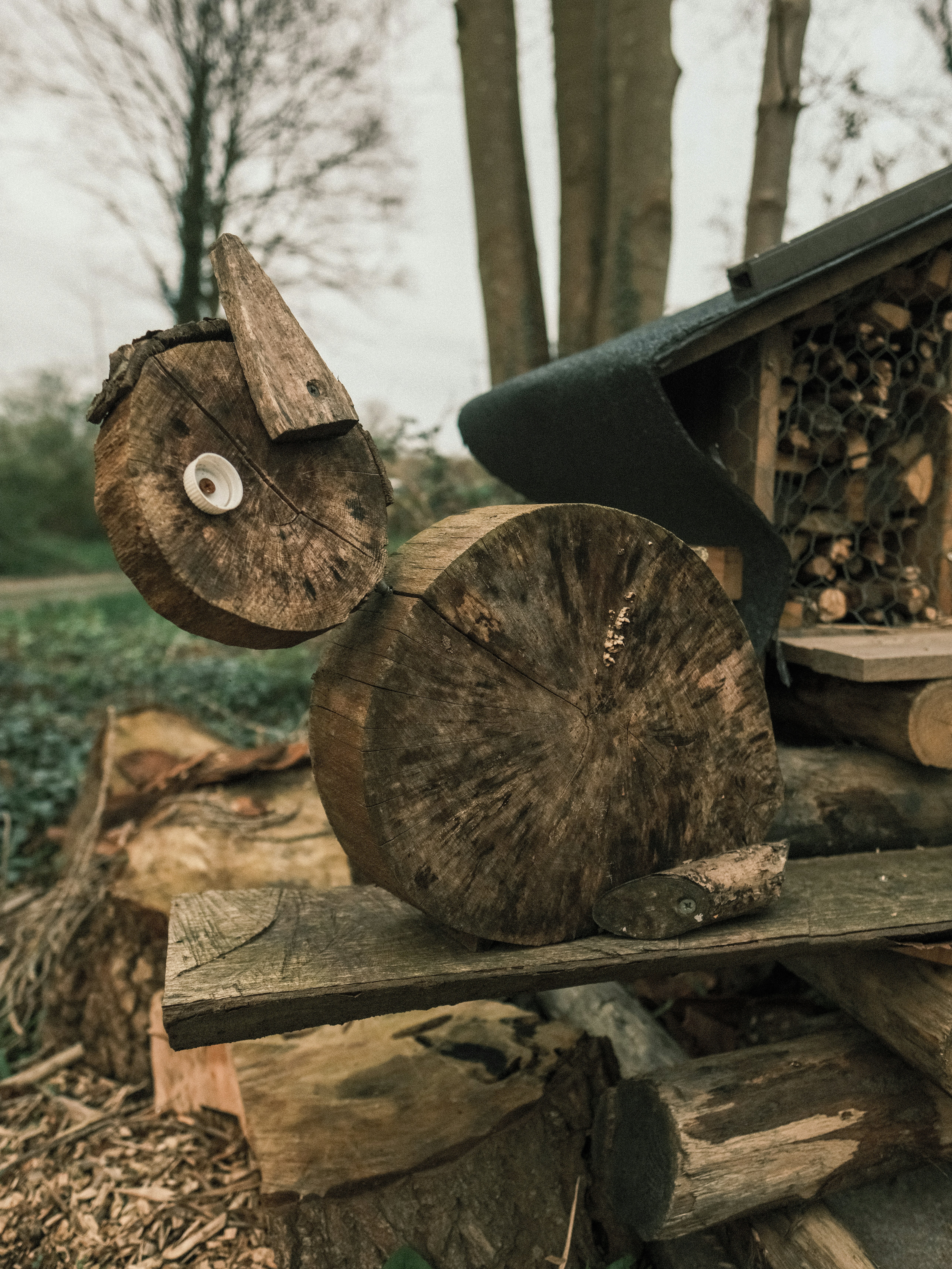 Photo by haberdoedas2