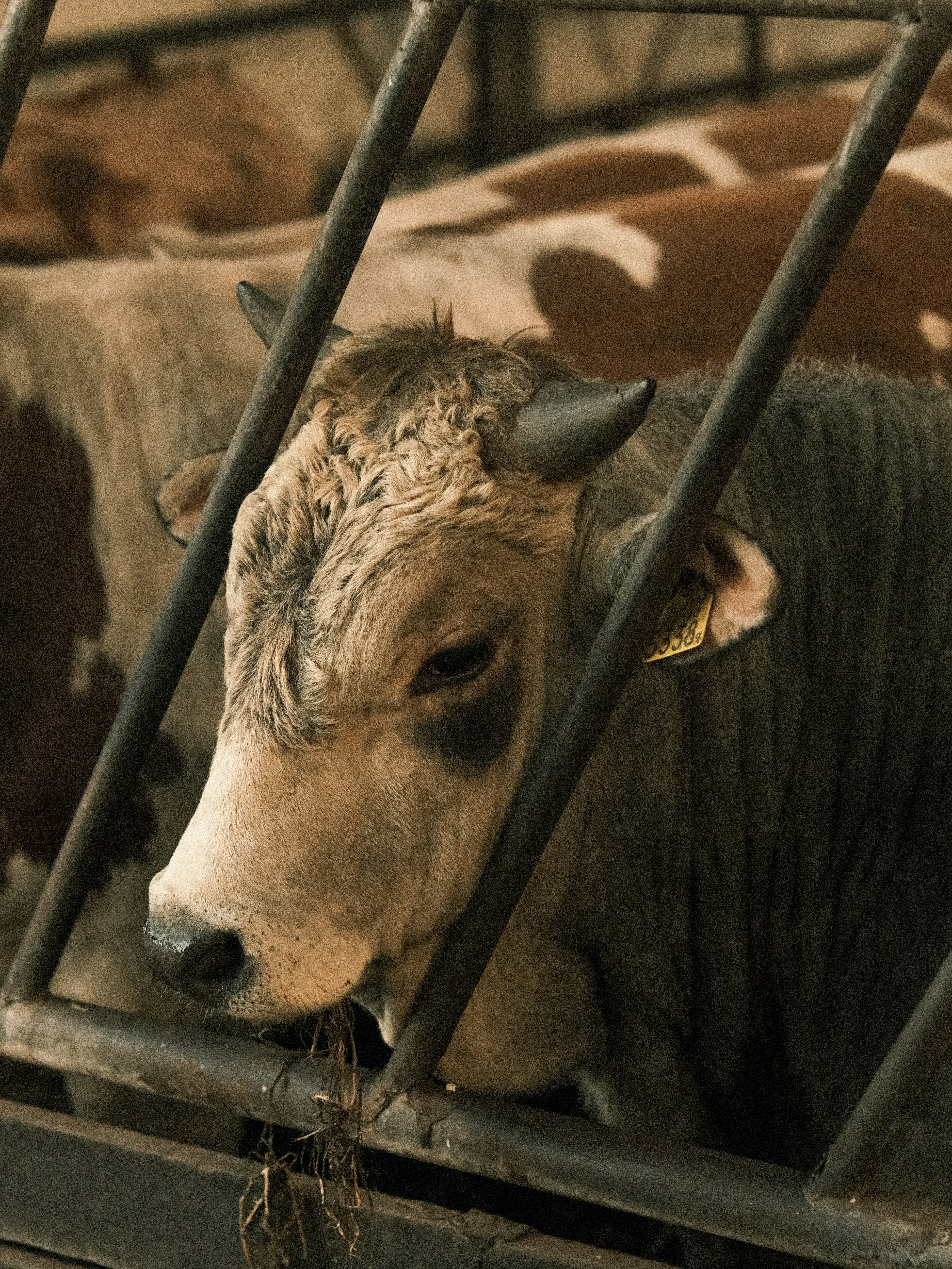 Photo by haberdoedas2