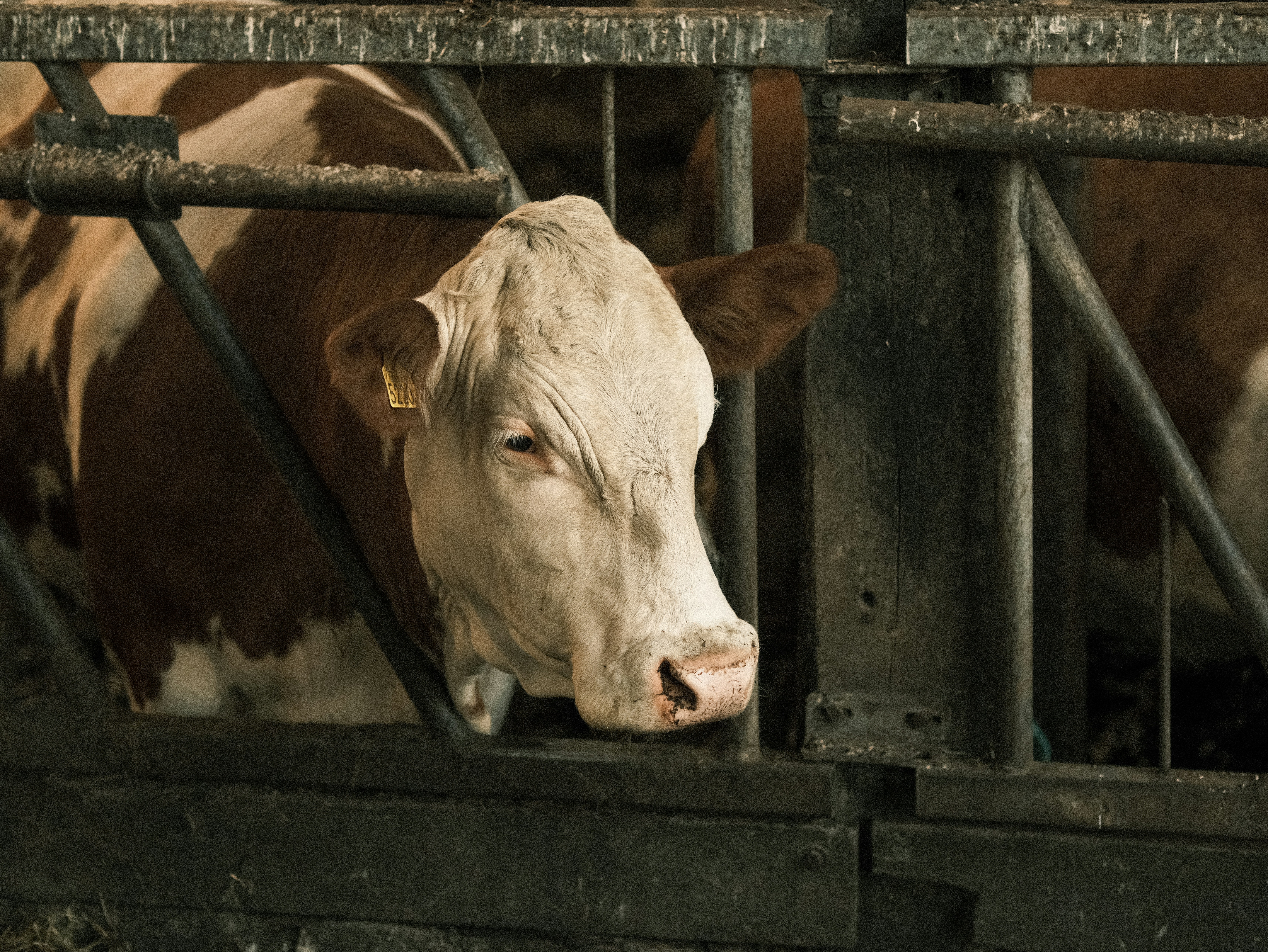 Photo by haberdoedas2