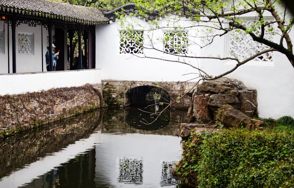 a man is looking out of a window at a pond