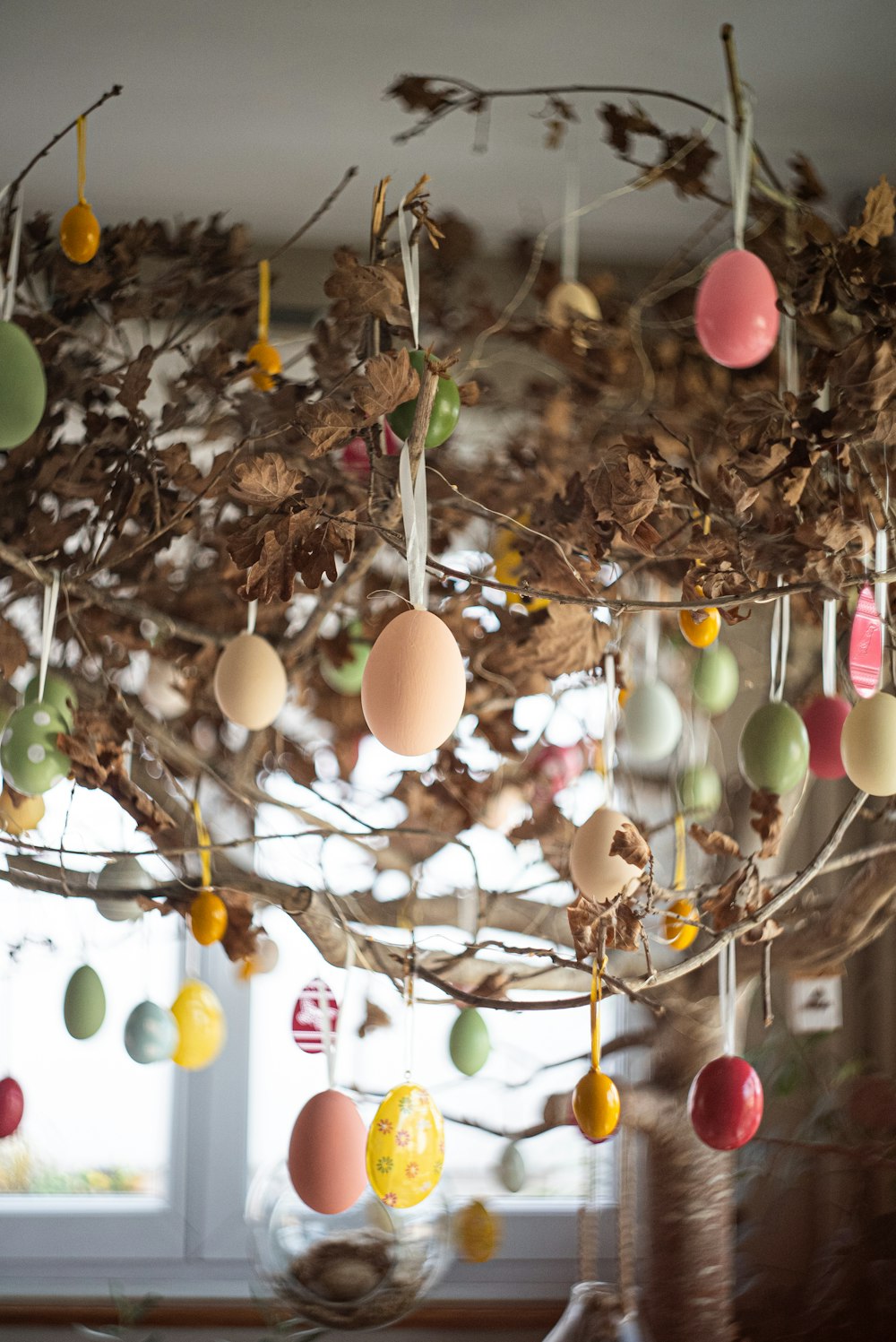 a bunch of eggs hanging from a tree