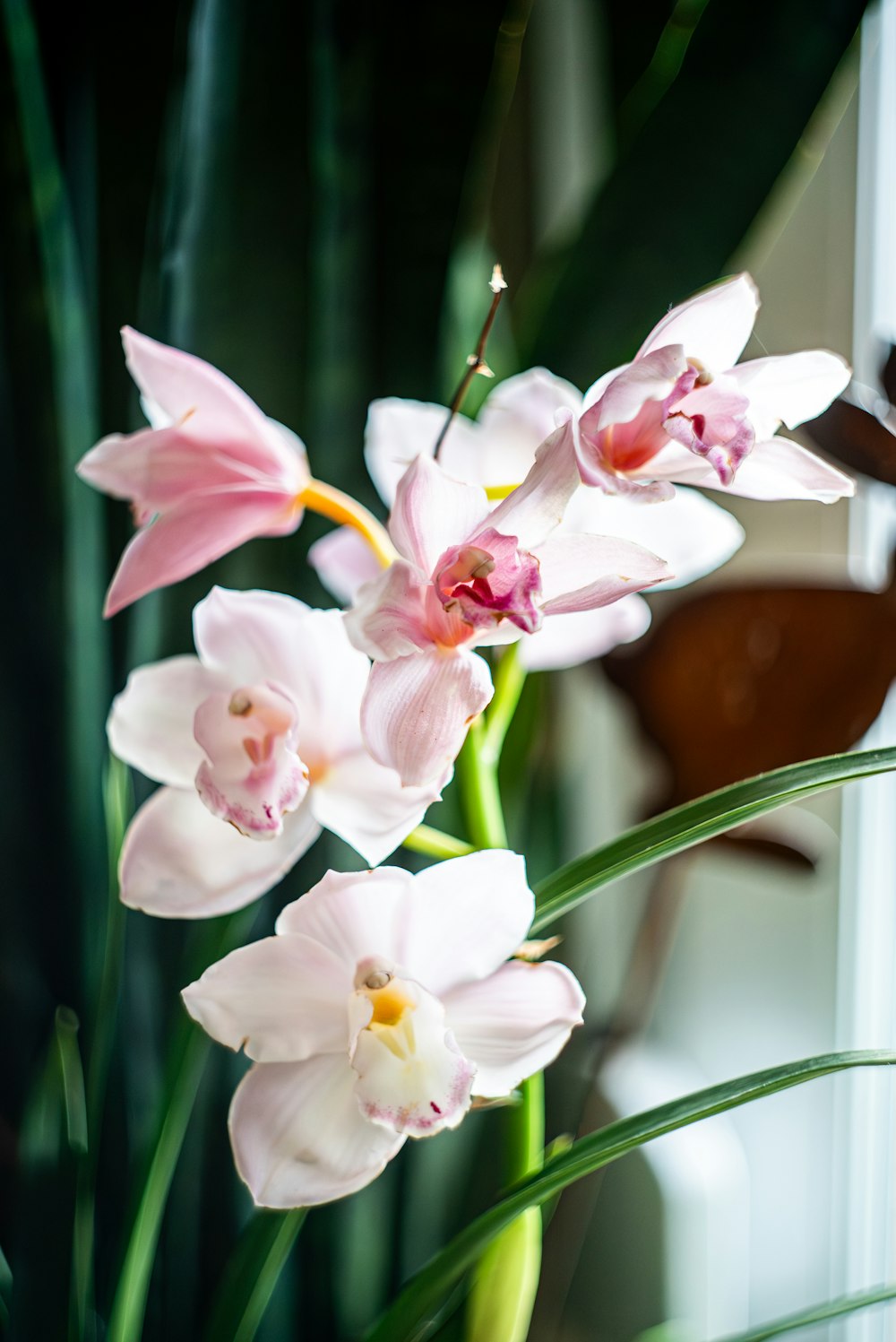 a vase filled with pink flowers sitting on top of a table