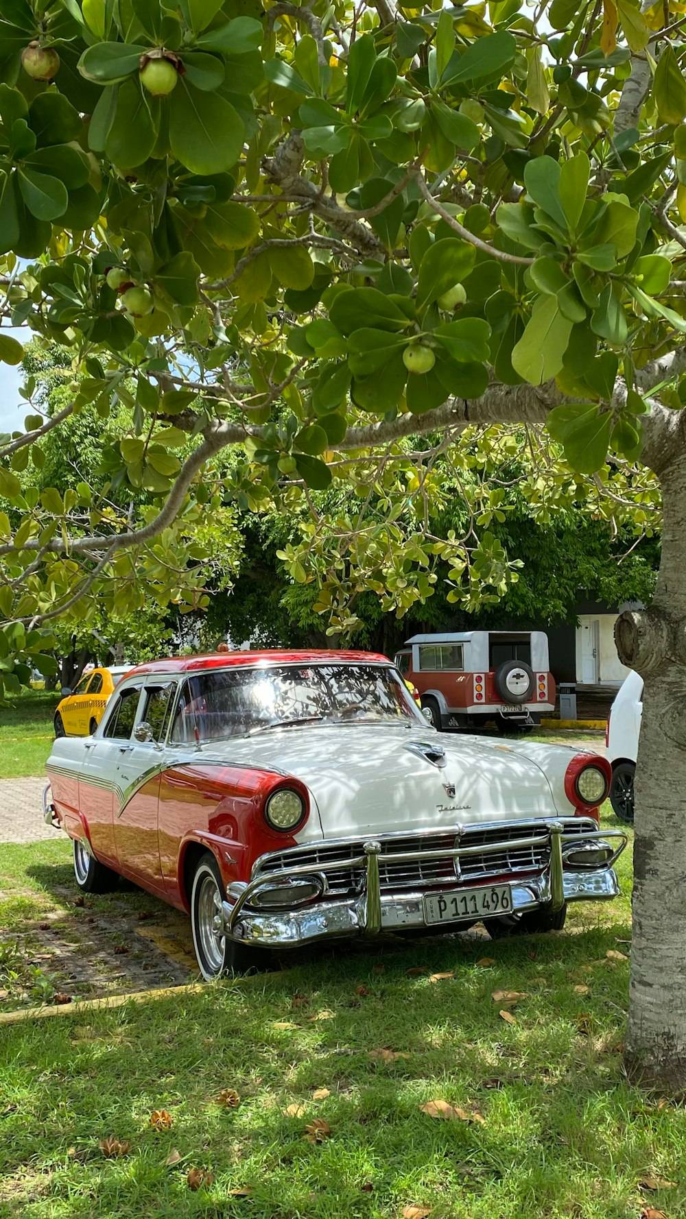 a red and white car parked next to a tree