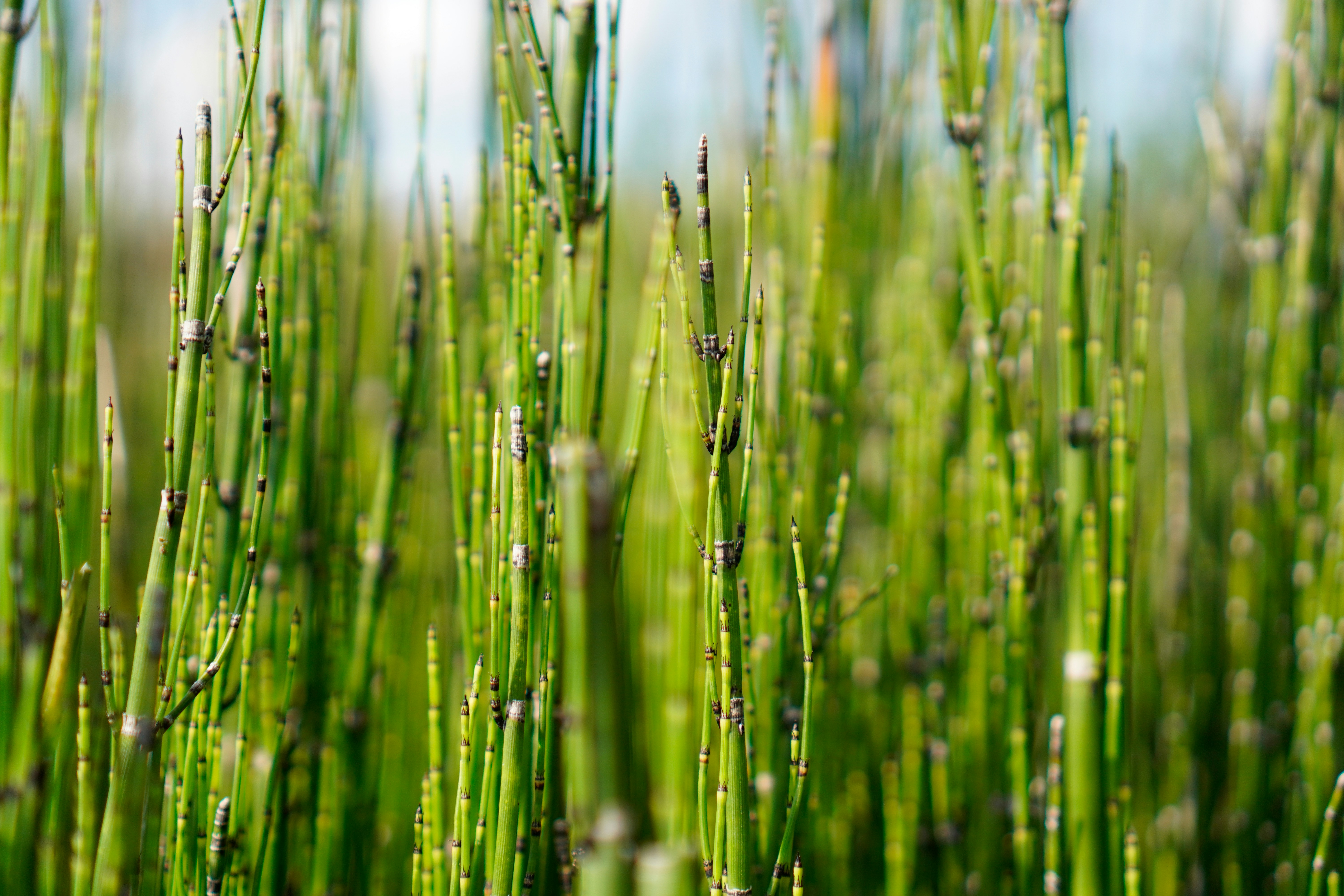 Photo by nataliagasiorowska