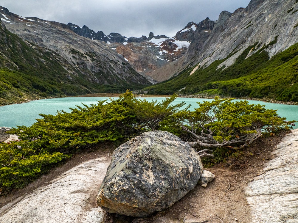 a large rock sitting on top of a lush green hillside