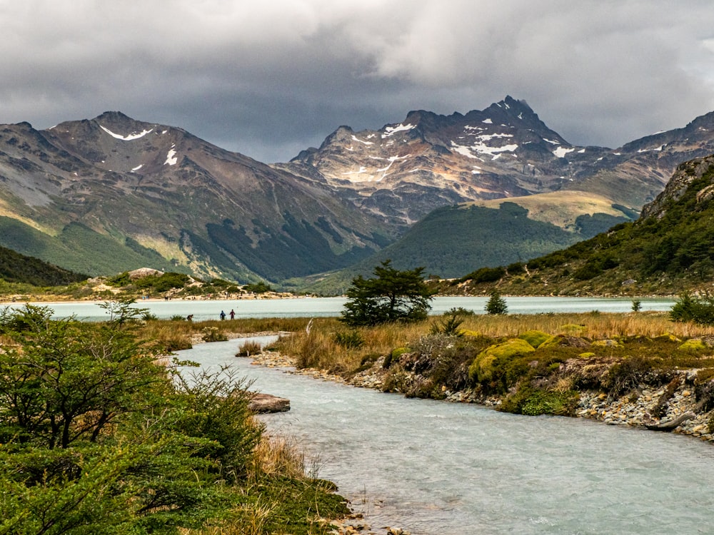 a river running through a lush green valley